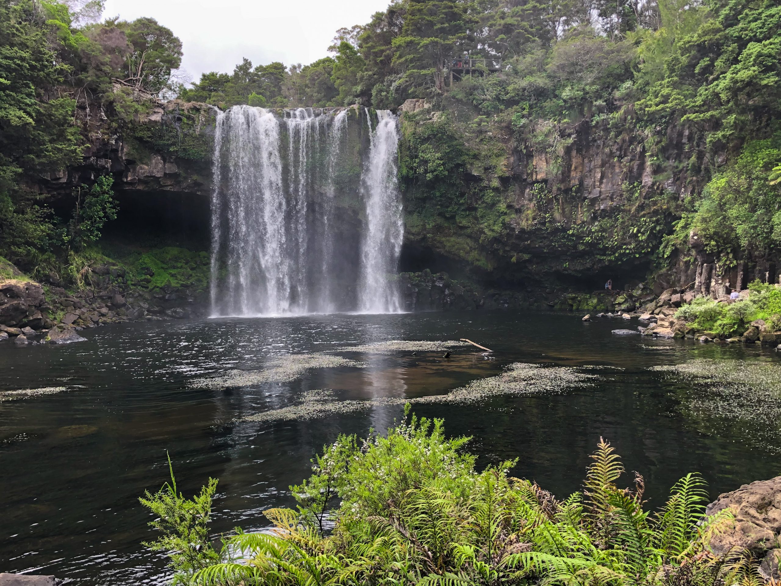 Rainbow Falls (Waianiwaniwa) bei Paihia