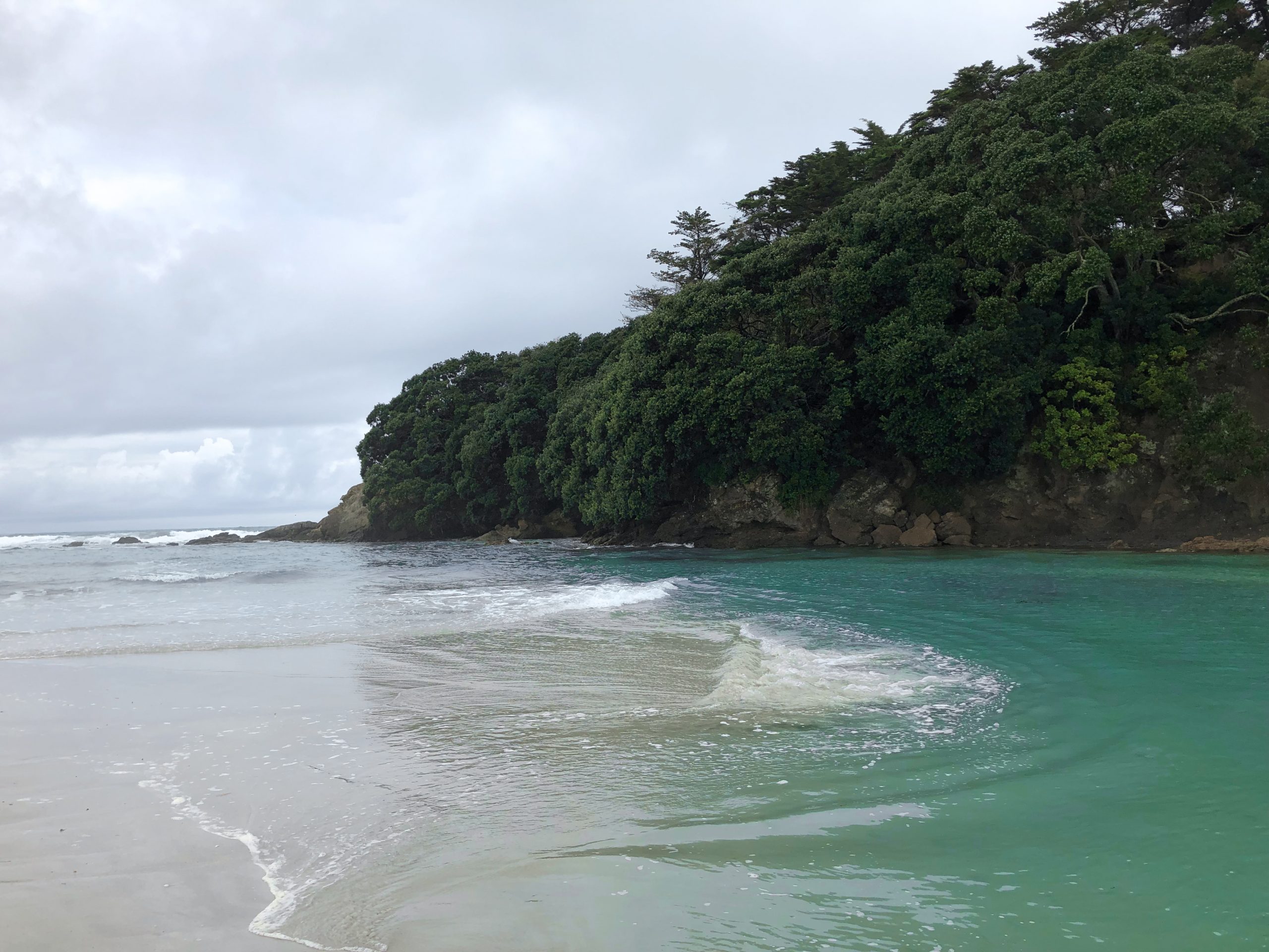 Rarawa Beach Campsite am Strand