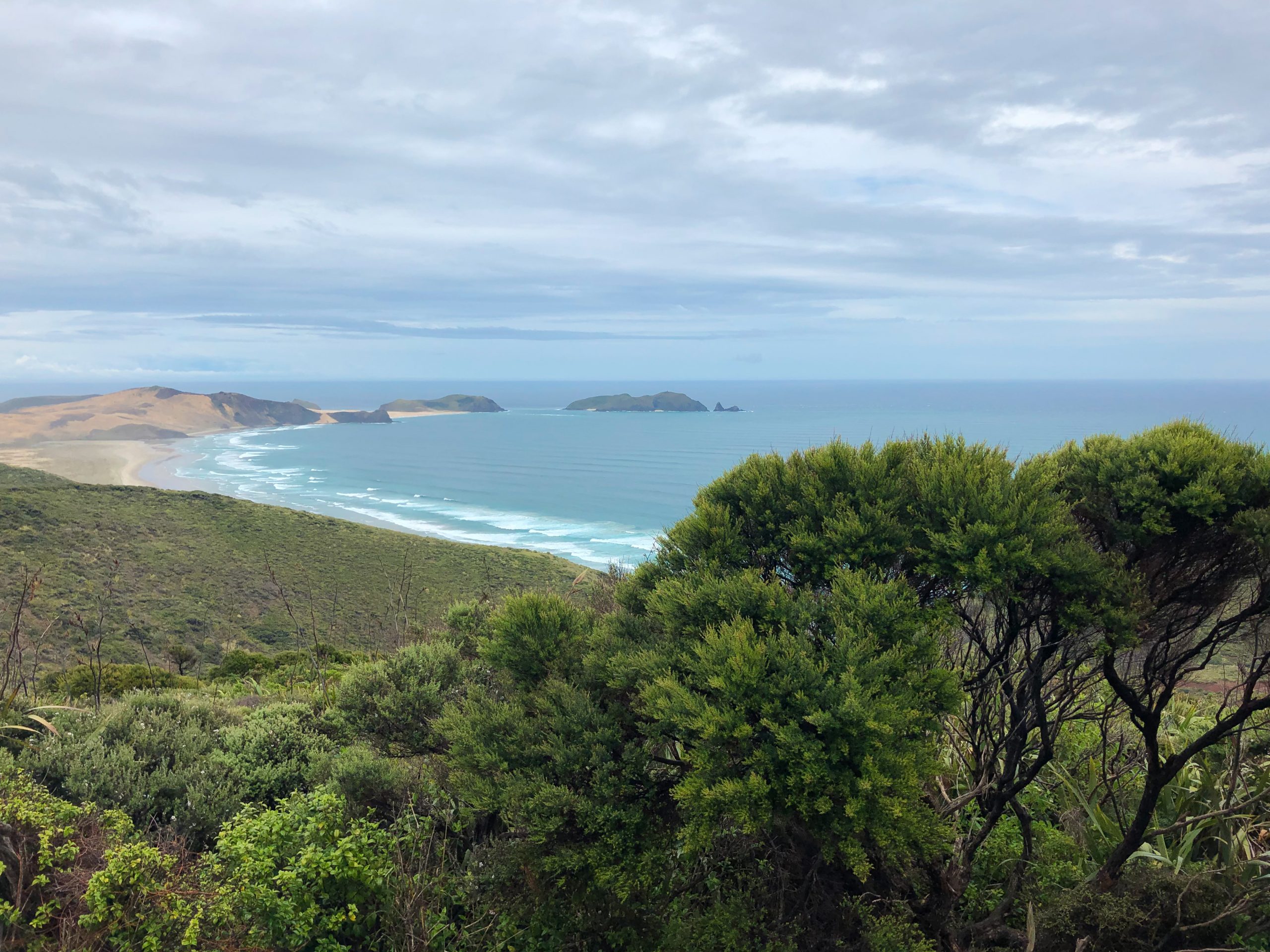 Aussicht über den Ozean bei Cape Reinga