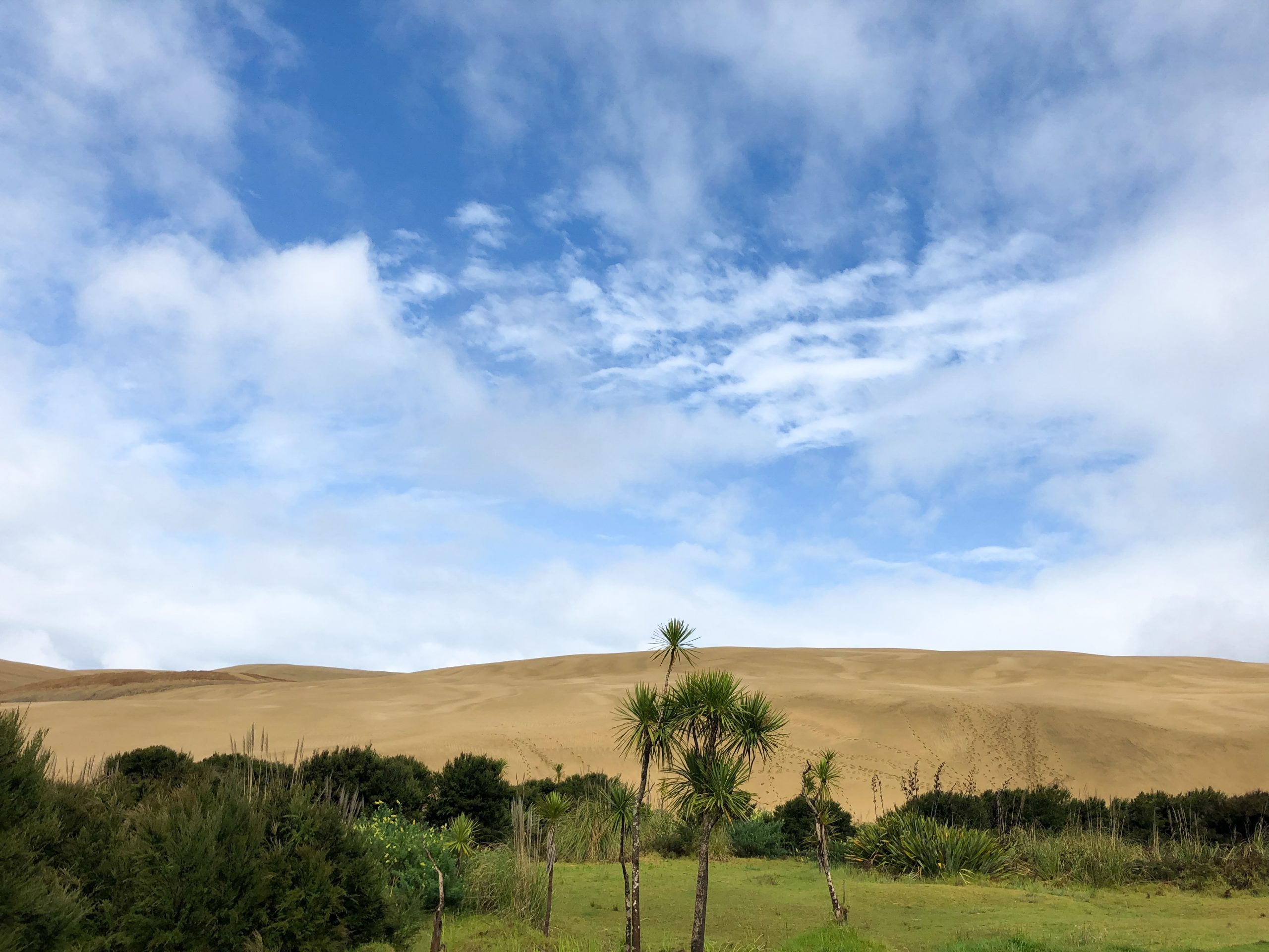 Feiner, heller Sand der Giant Sand Dunes