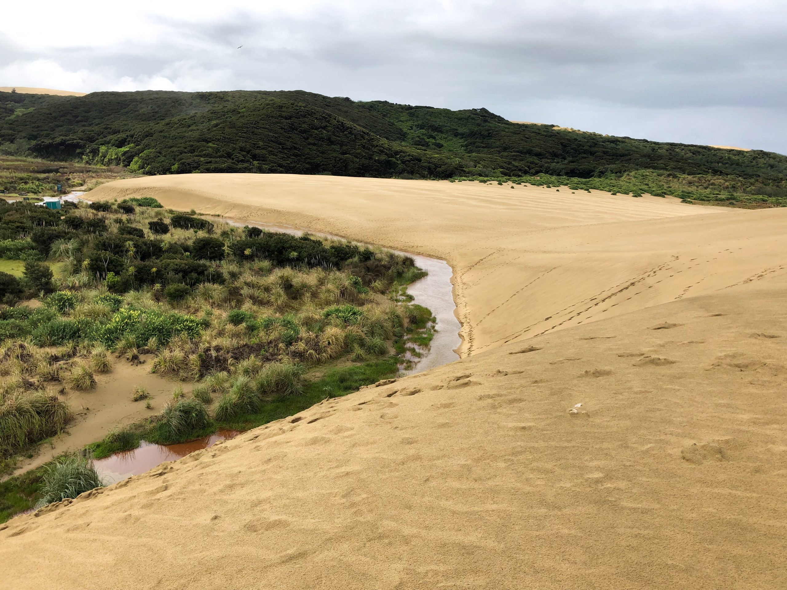 Aussicht von den Giant Sand Dunes