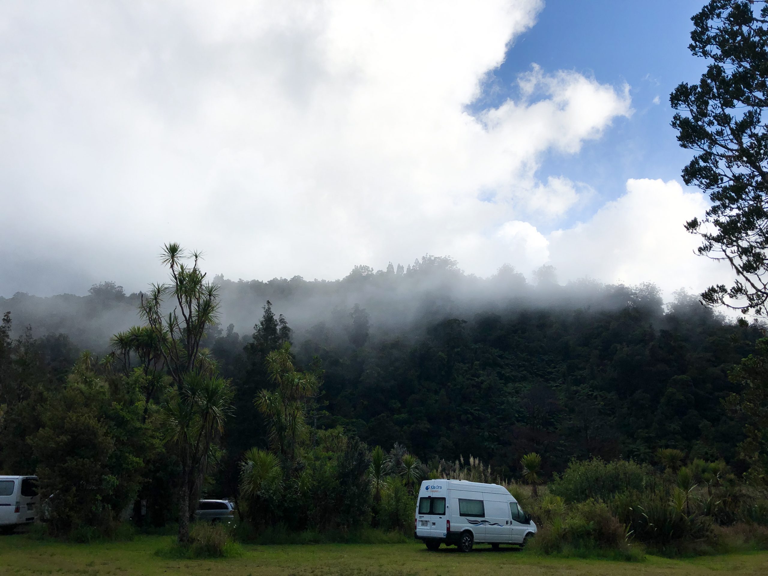 Zeltplatz mitten im Waipoua Forest