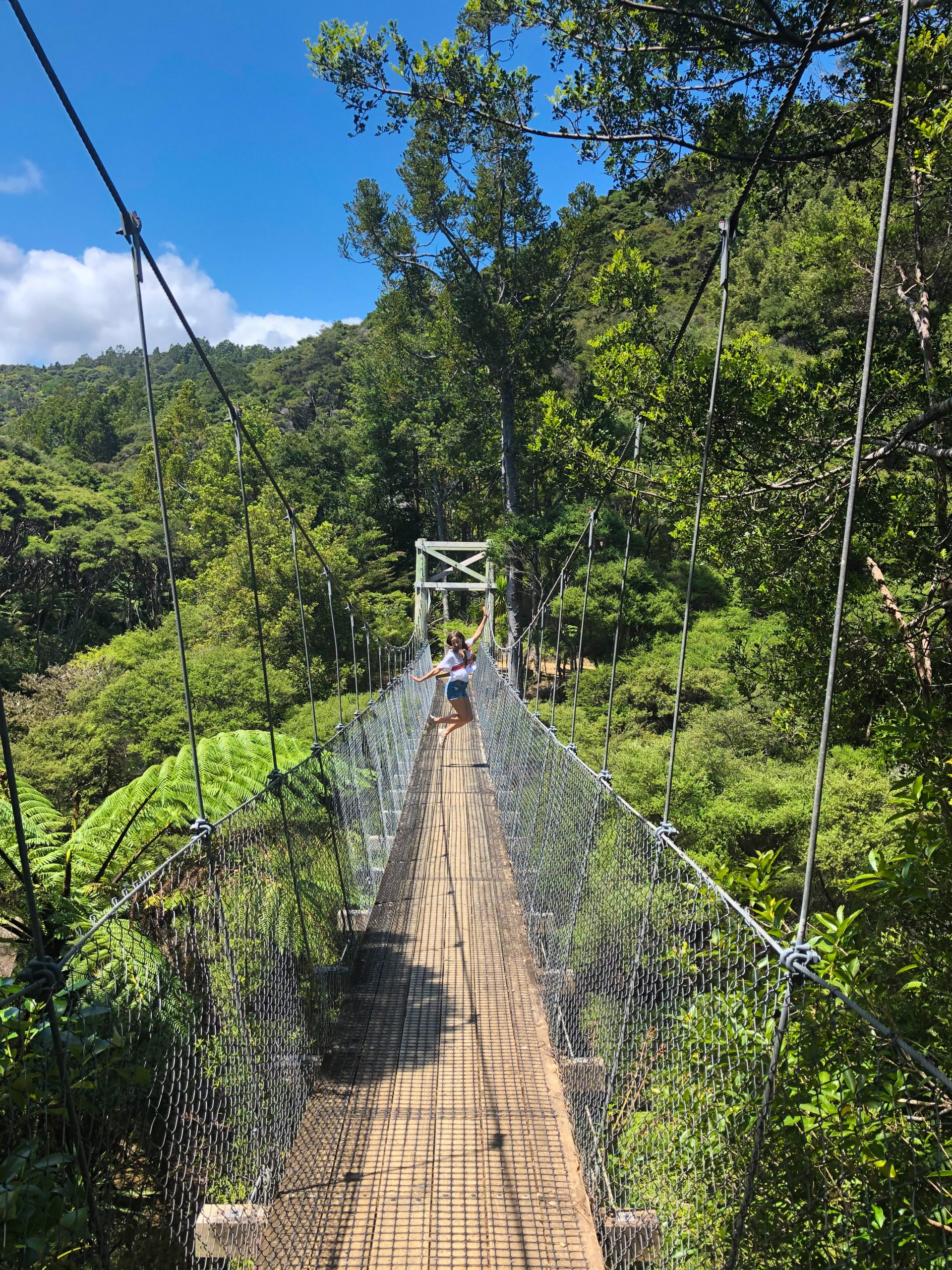 Hängebrücke am Goldies Bush Walkway
