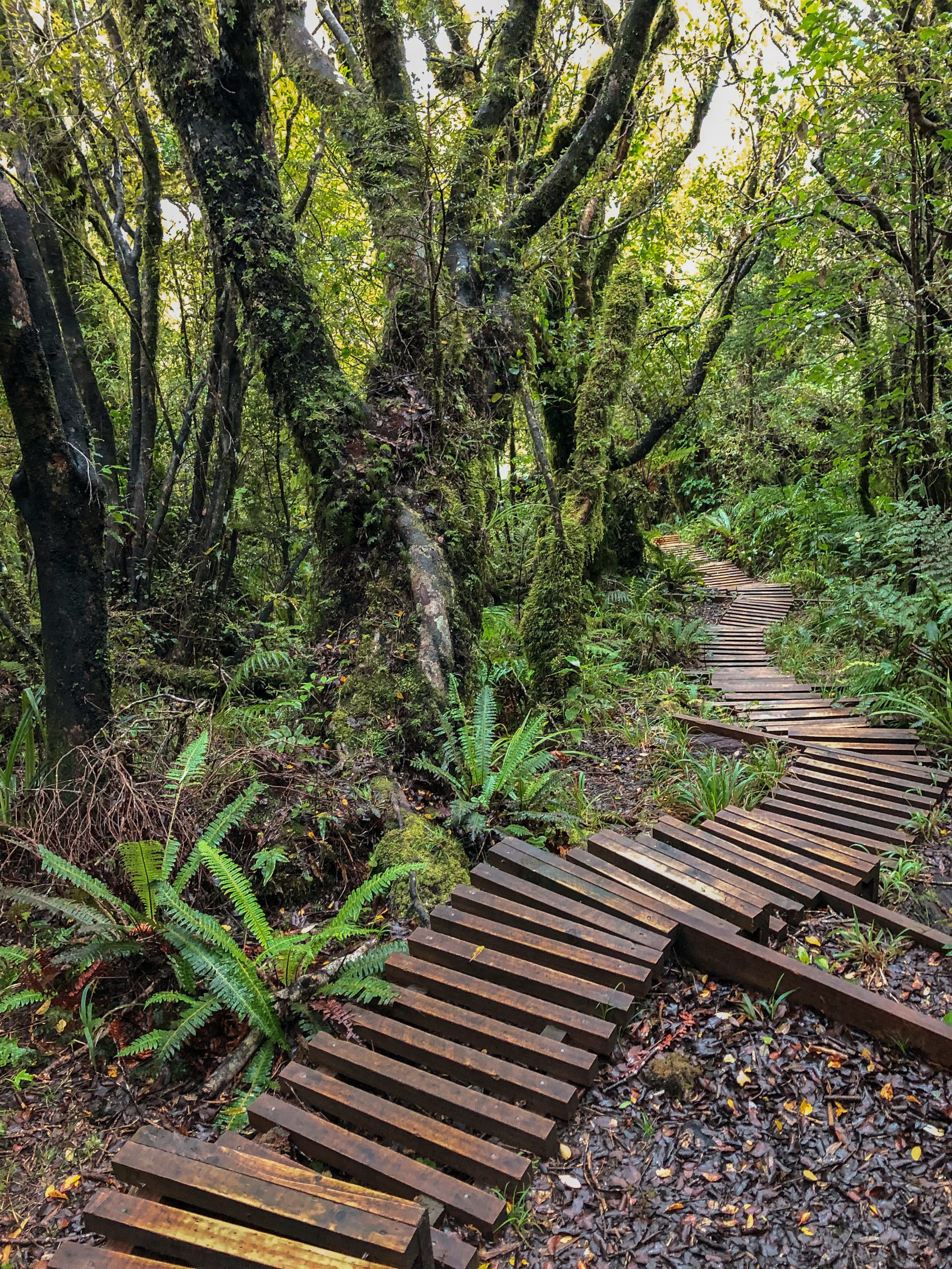 New Plymouth, Neuseeland