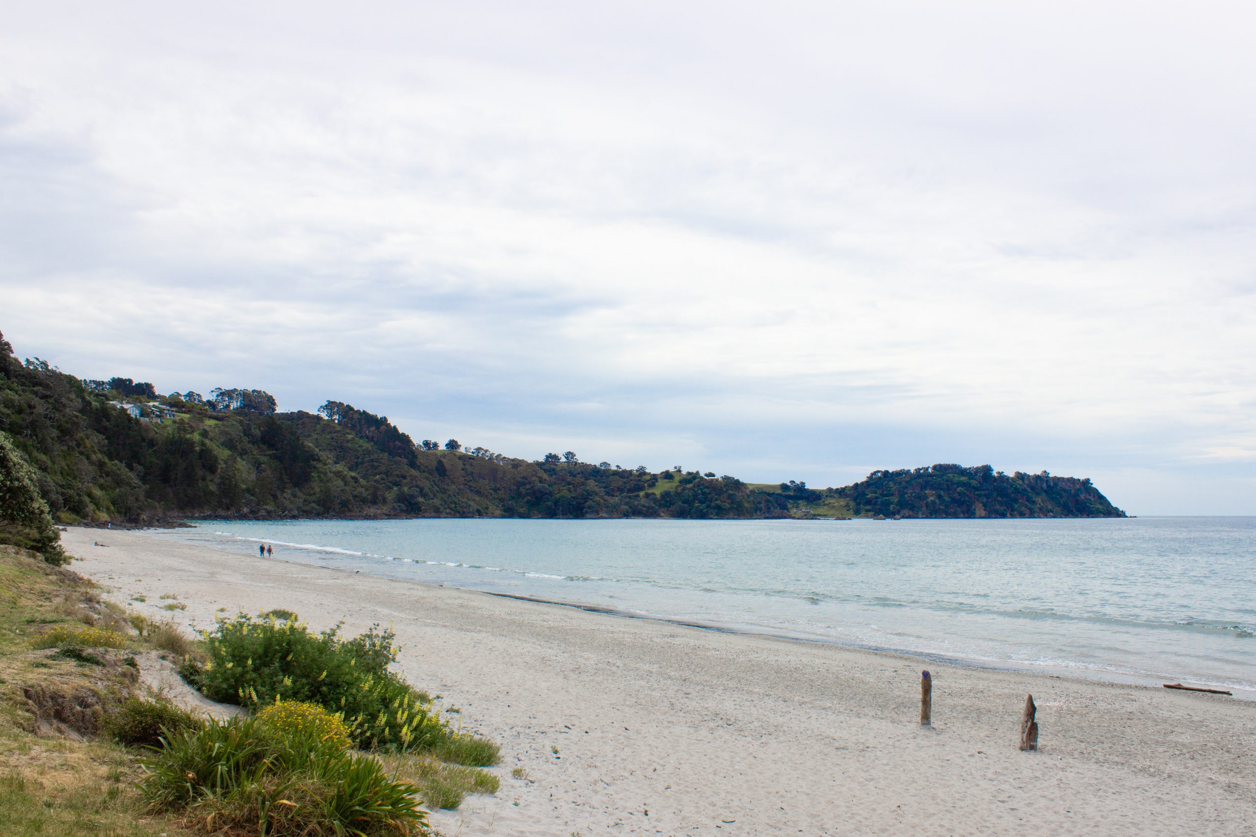 Palm Beach auf Waiheke Island