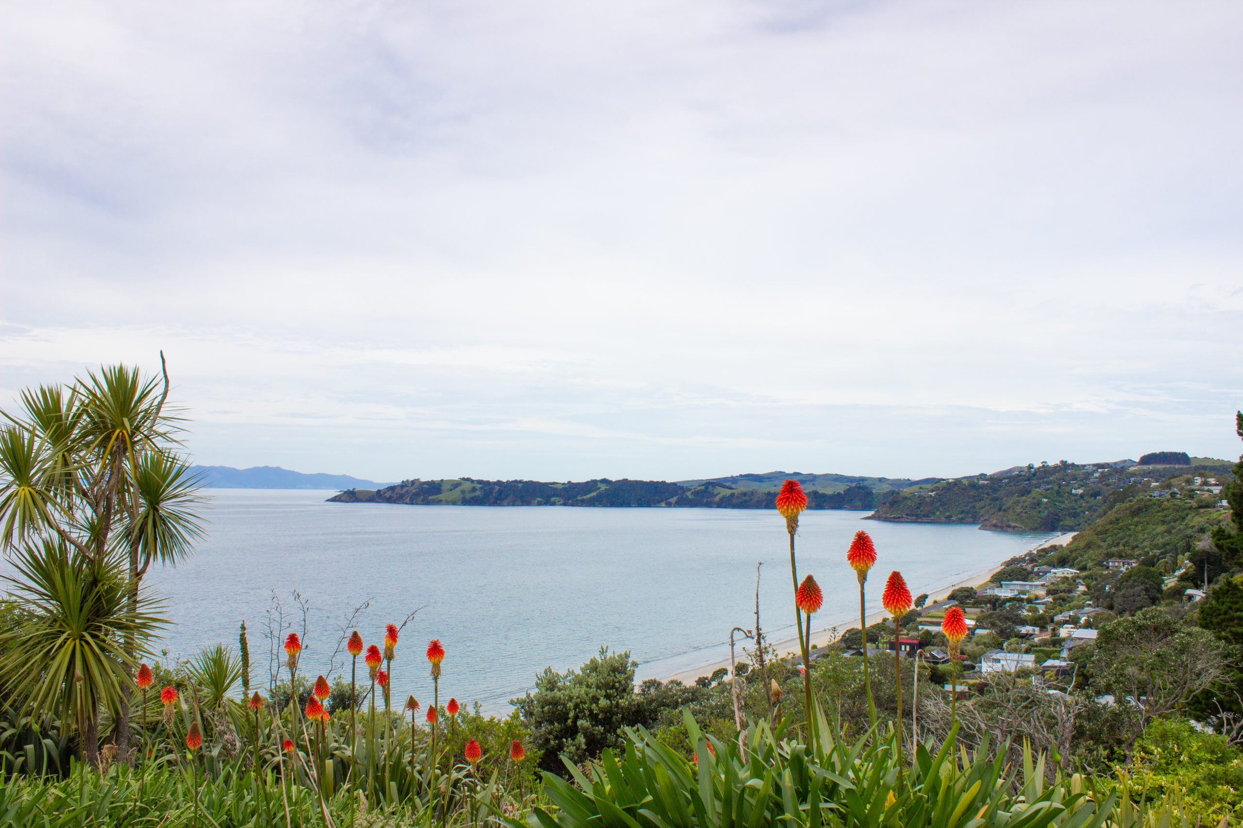 Waiheke Island, Neuseeland