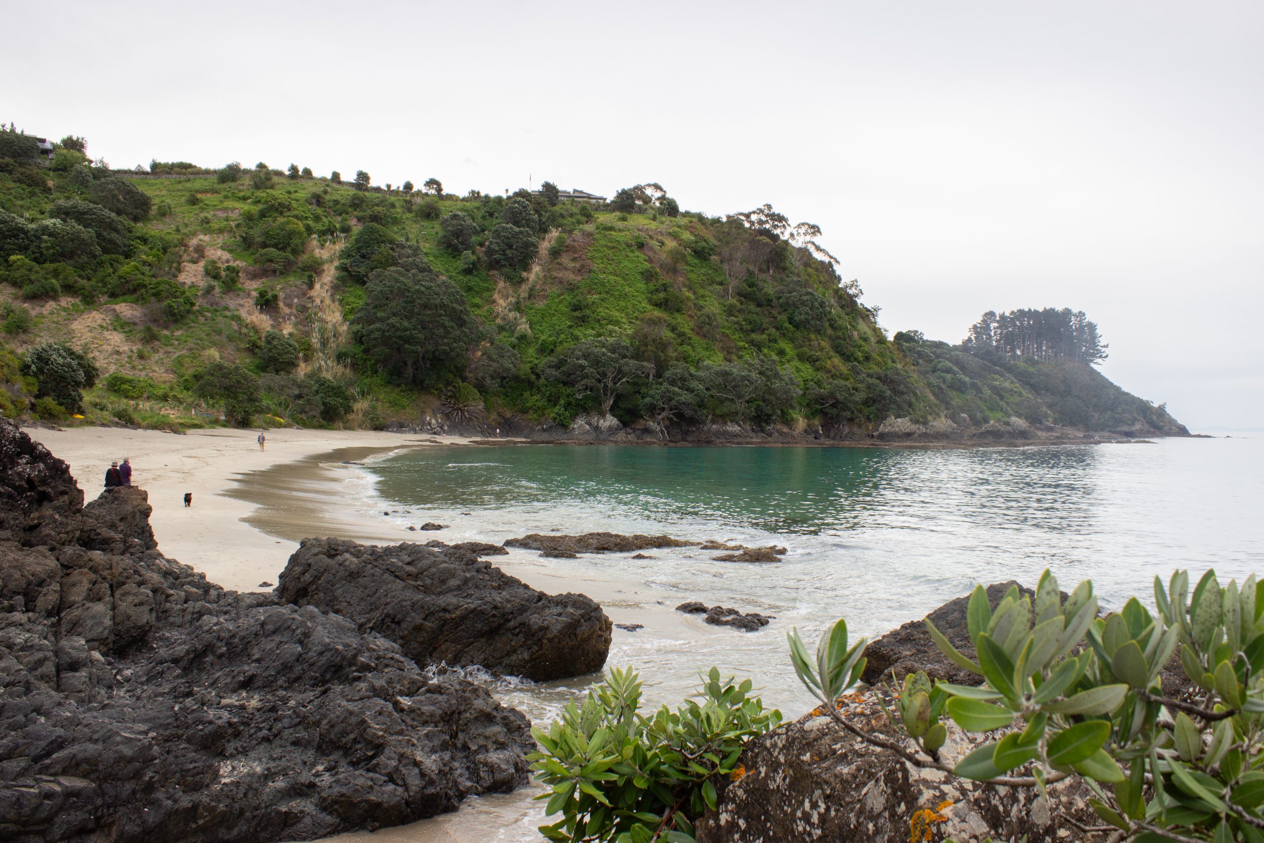 Goldgelber Sandstrand am Palm Beach
