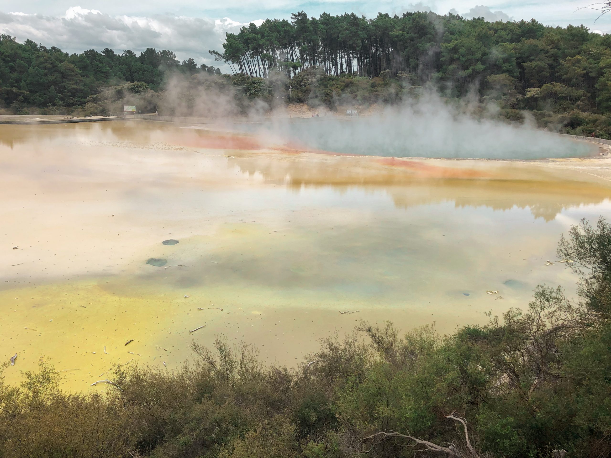 Dampfende Fumarolen im Wai-O-Tapu Geothermalpark