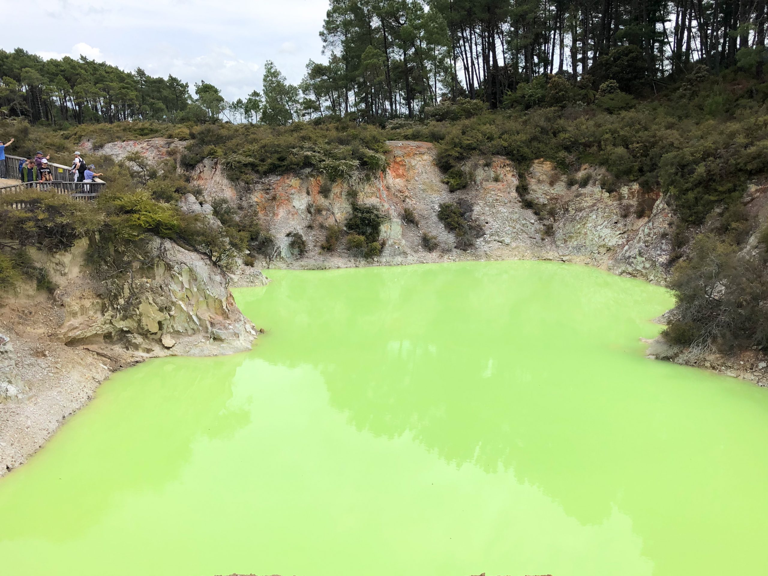 Bunte Thermalquelle im Wai-O-Tapu Geothermalpark