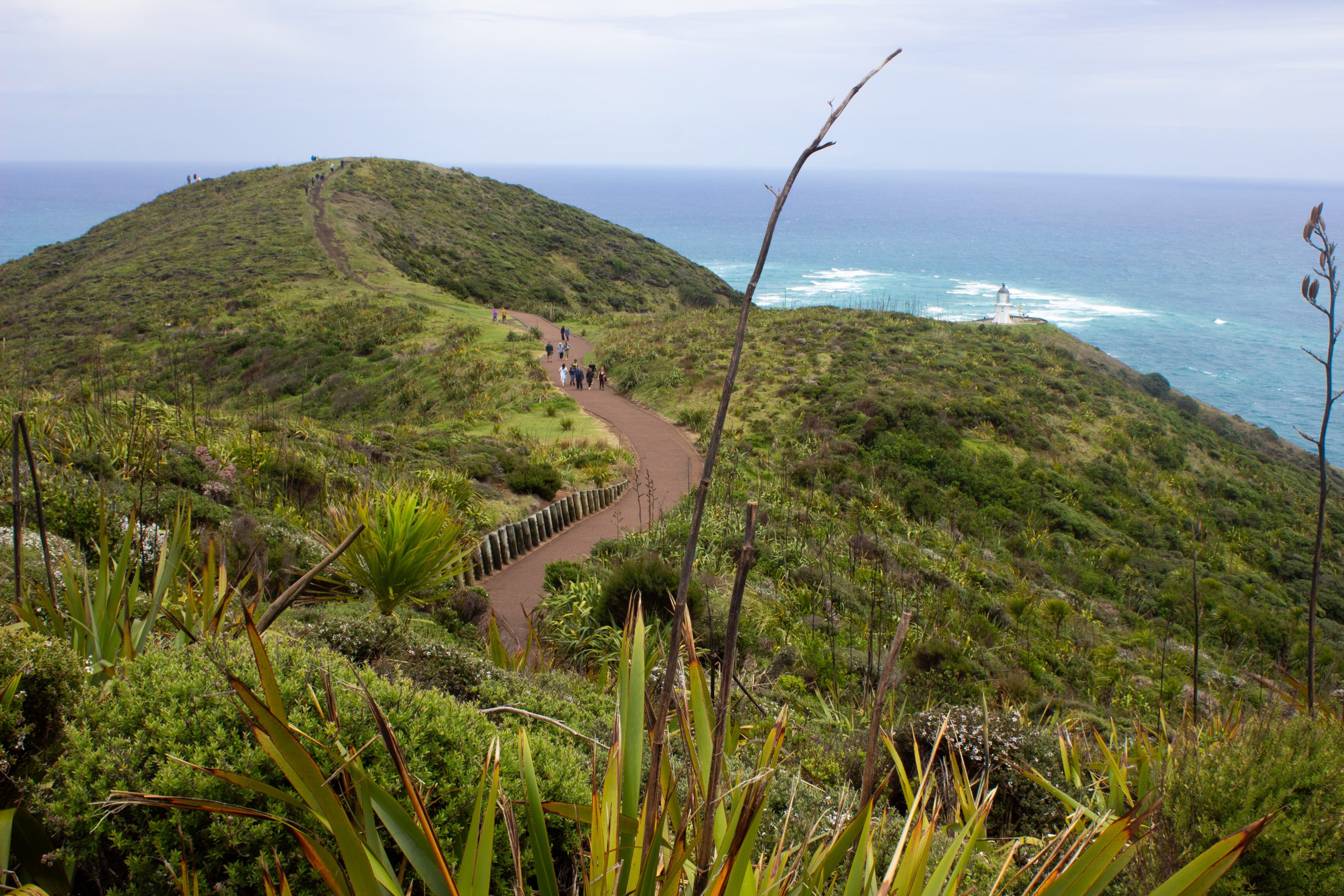 Cape Reinga, Neuseeland