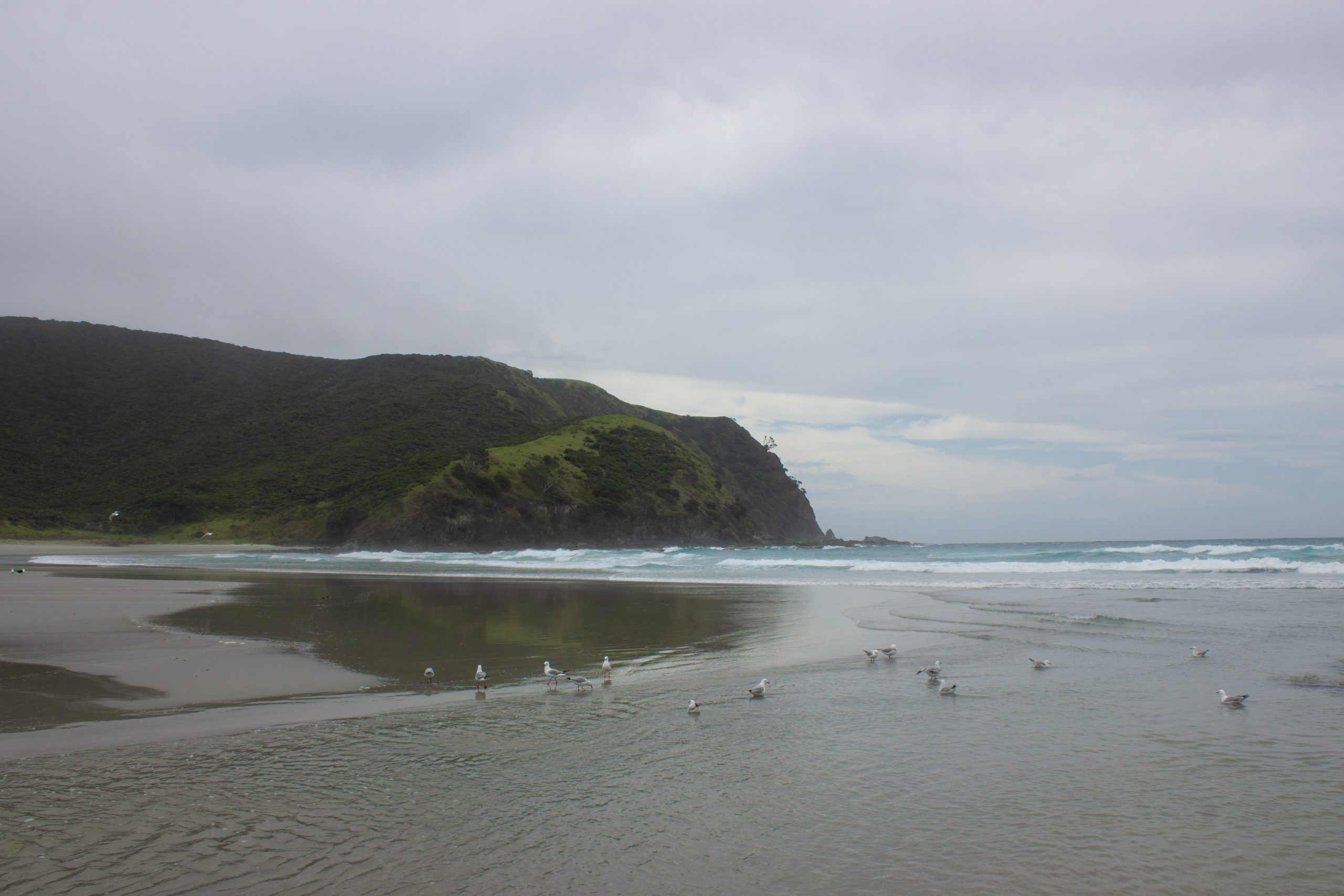 Tapotupotu Beach im Norden der Nordinsel