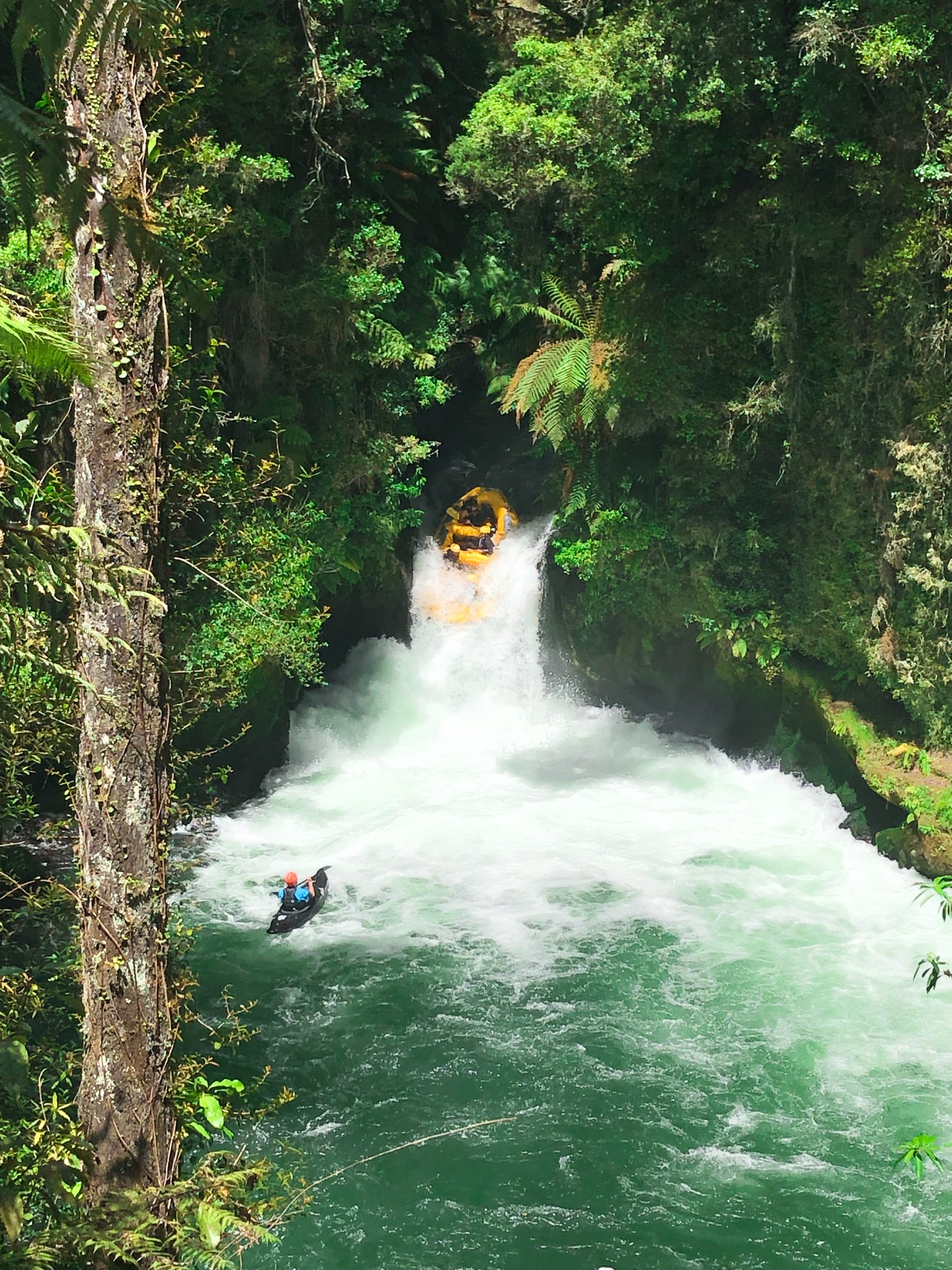 Wildwasser-Rafting auf dem Kaituna River