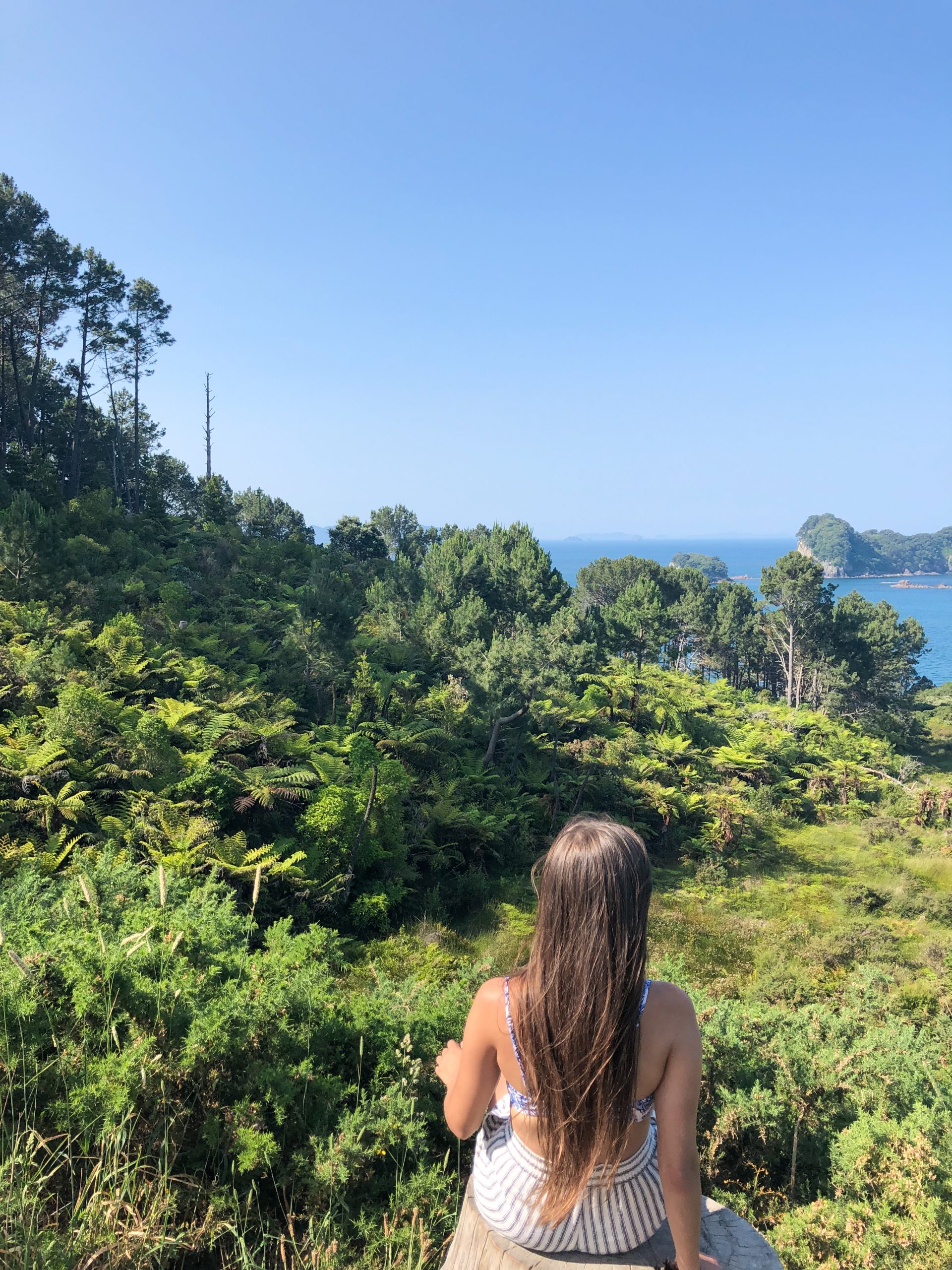 Küstenblick vom Aussichtspunkt an der Cathedral Cove
