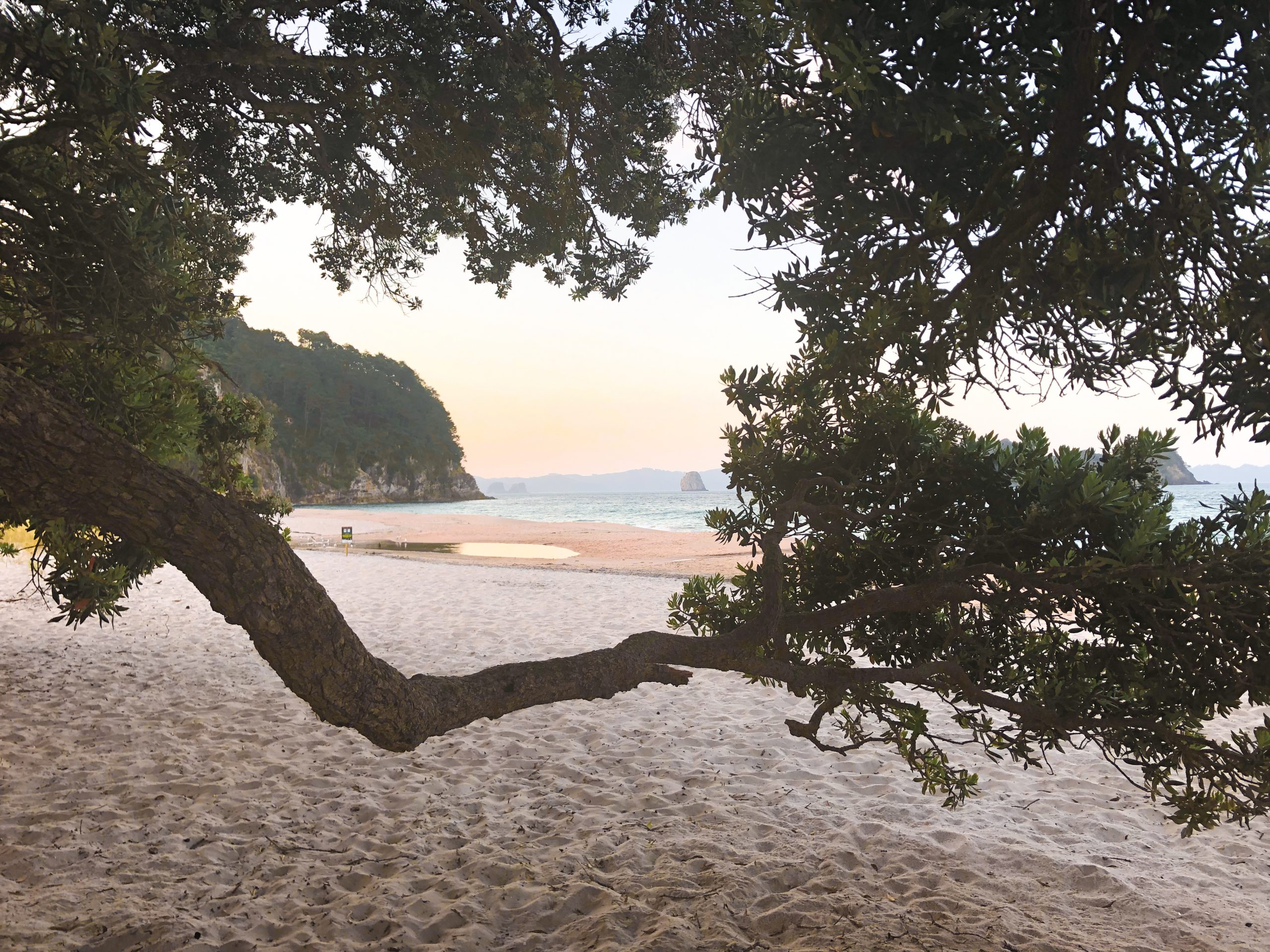 Feiner, goldener Sand am Hahei Beach