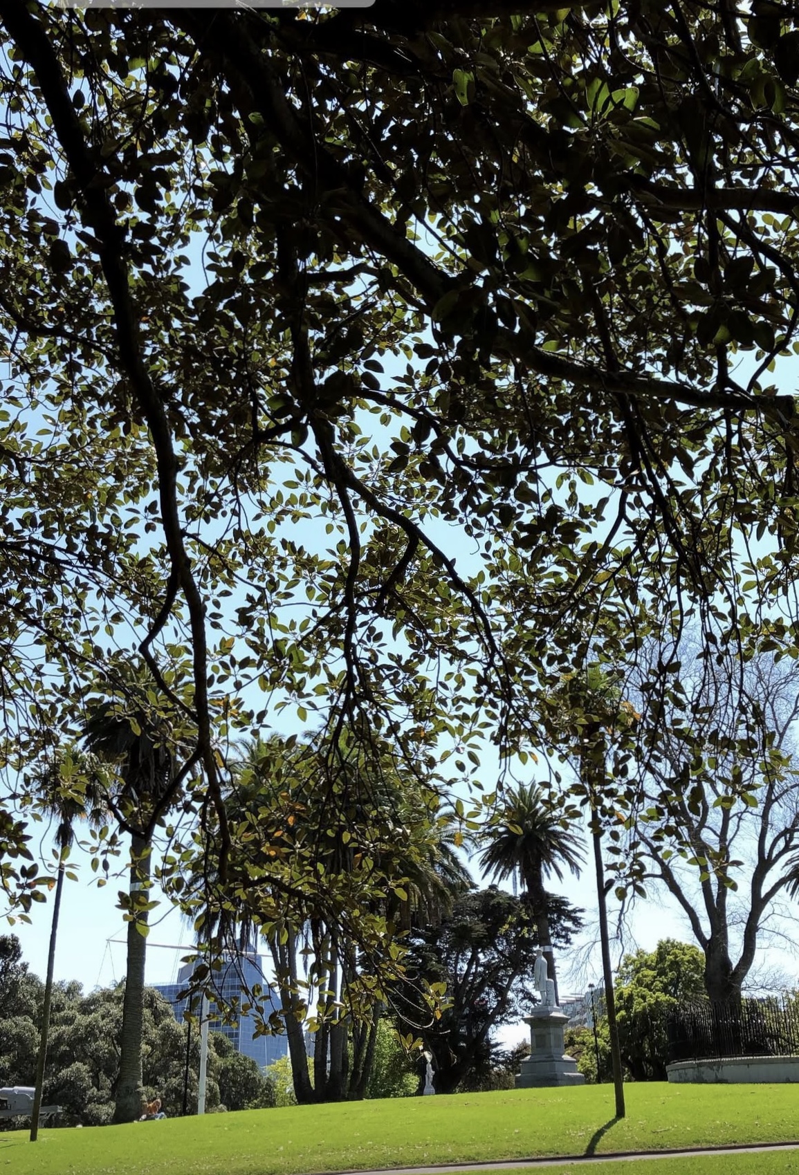 Albert Park in Auckland mit Blumenbeeten und Statuen
