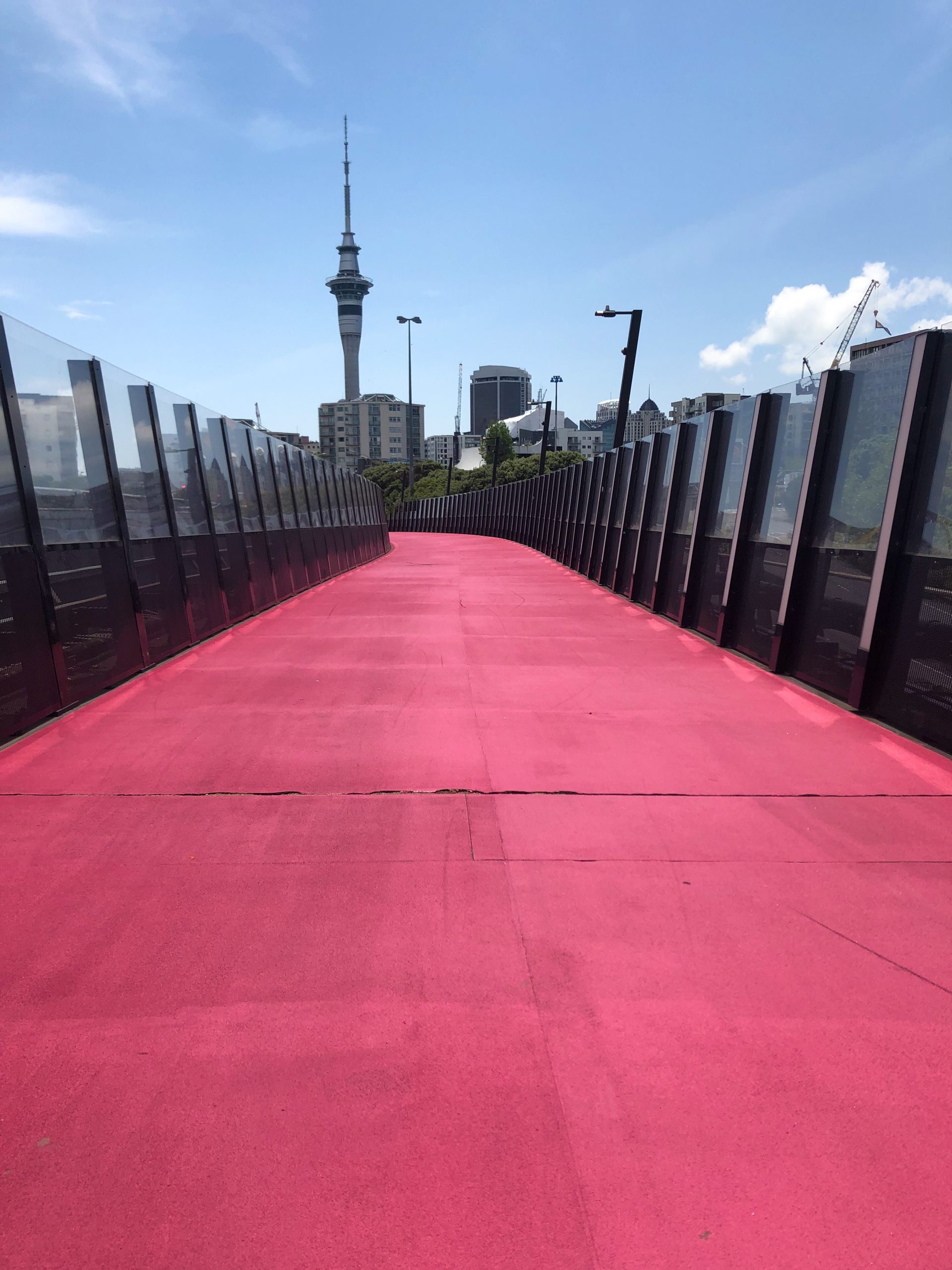 Der pinke Nelson Street Pink Path in Auckland
