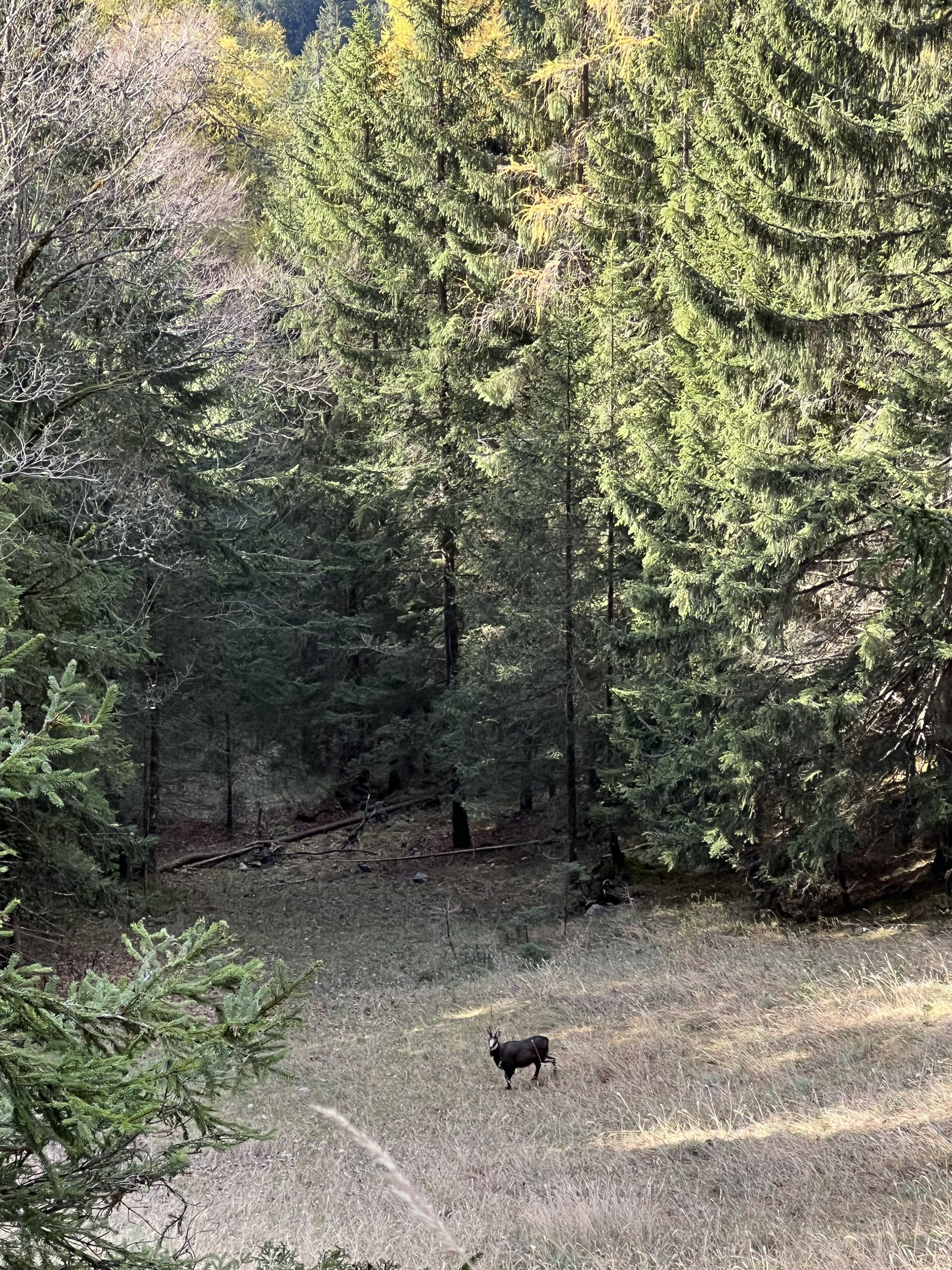 Wanderung am Achensee
