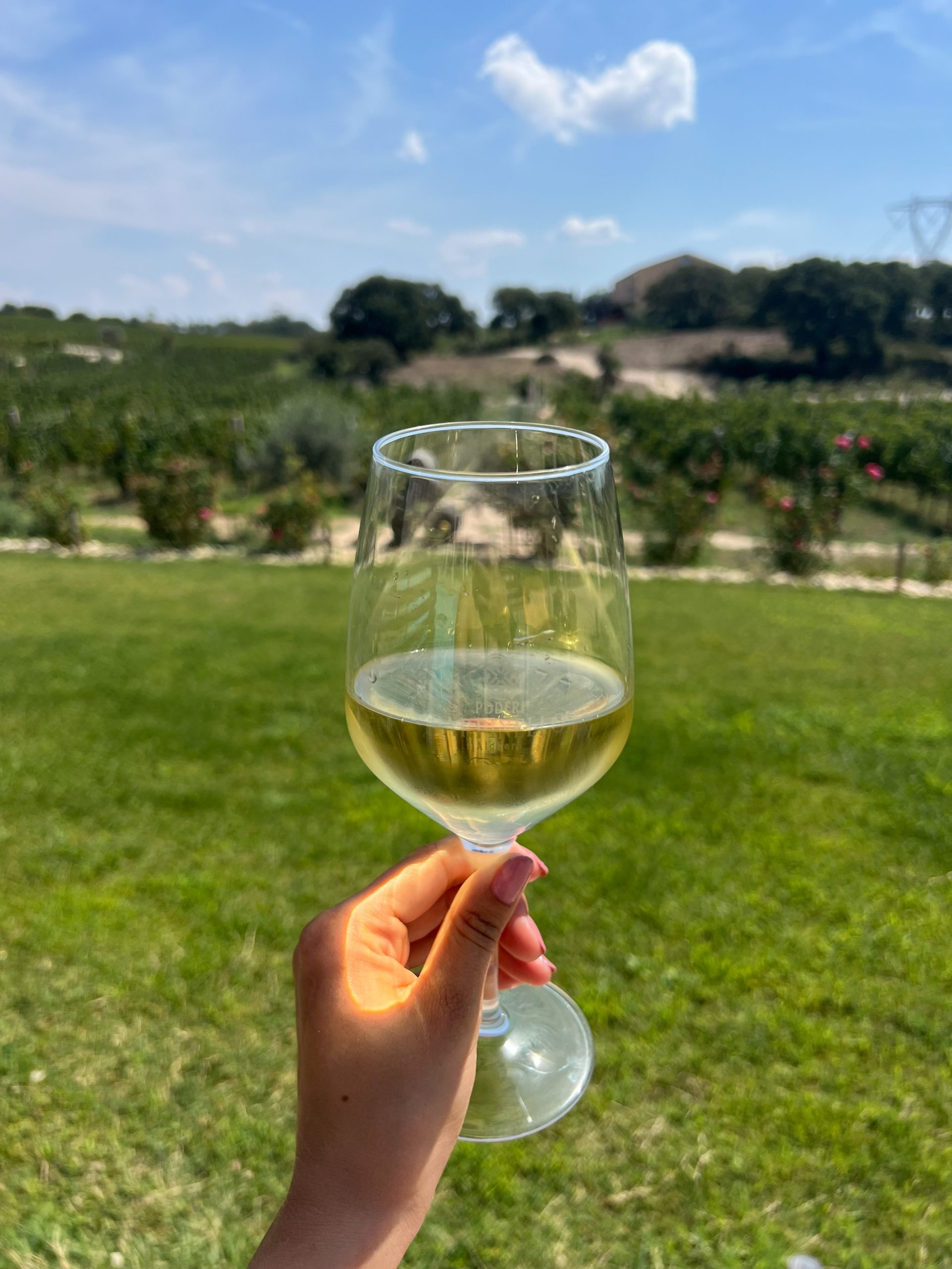 Weinprobe bei La Vinia Bed & Wine Experience, Sardinien