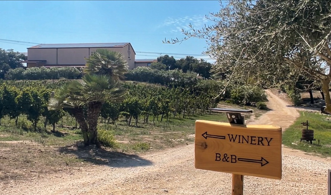 Weinprobe bei La Vinia Bed & Wine Experience, Sardinien