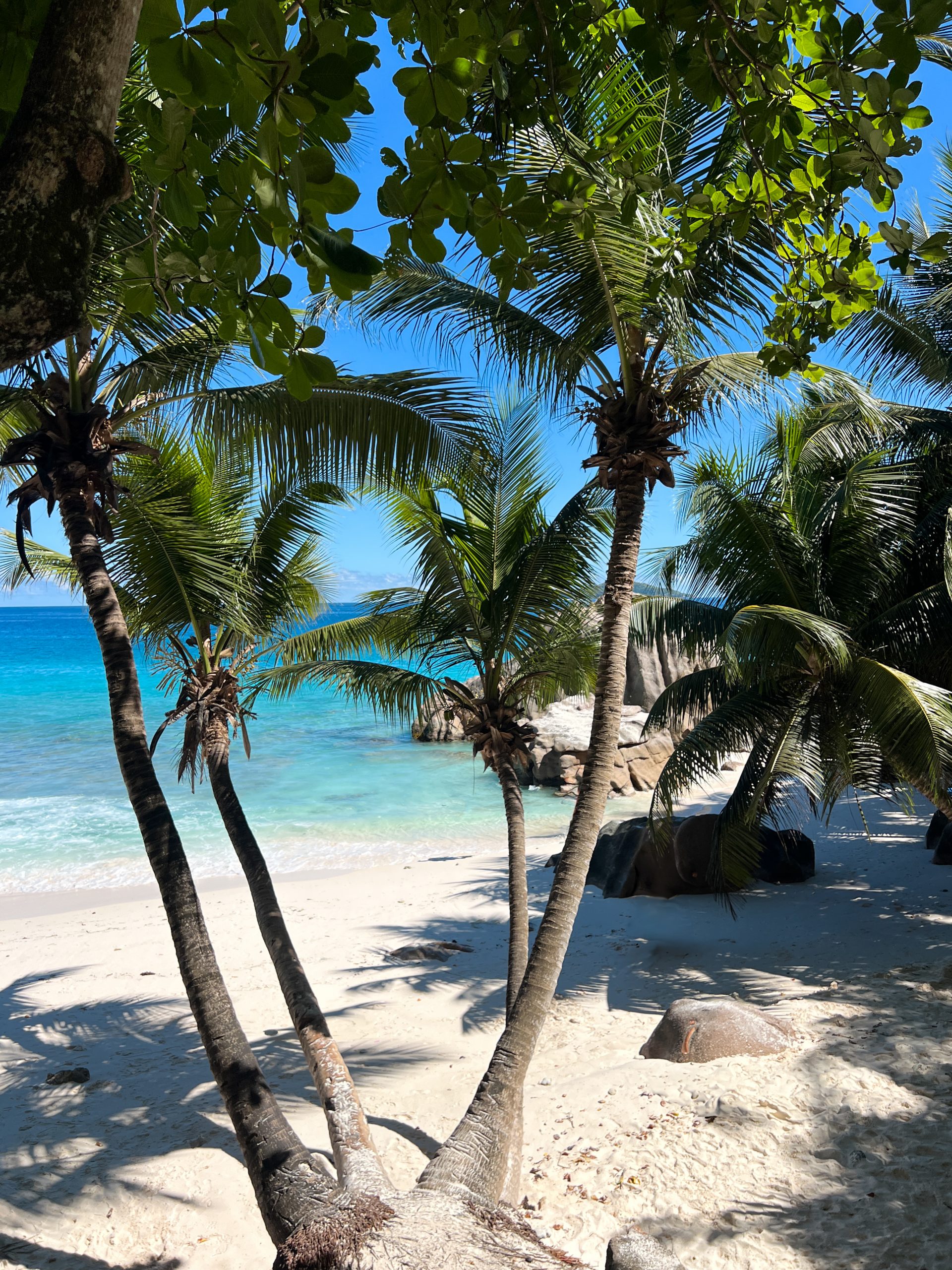 Anse Patates, La Digue