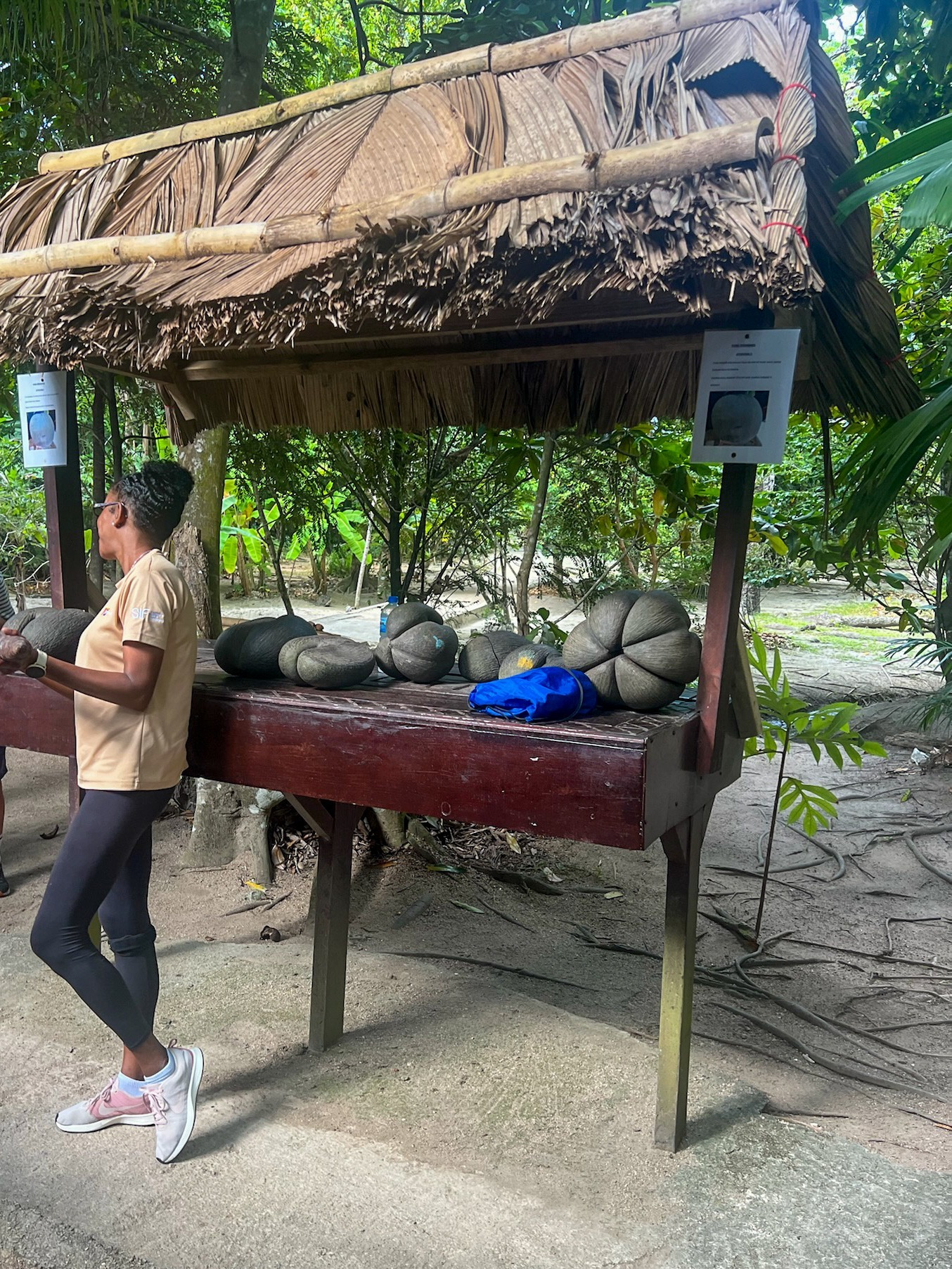 Fond Ferdinand, Praslin