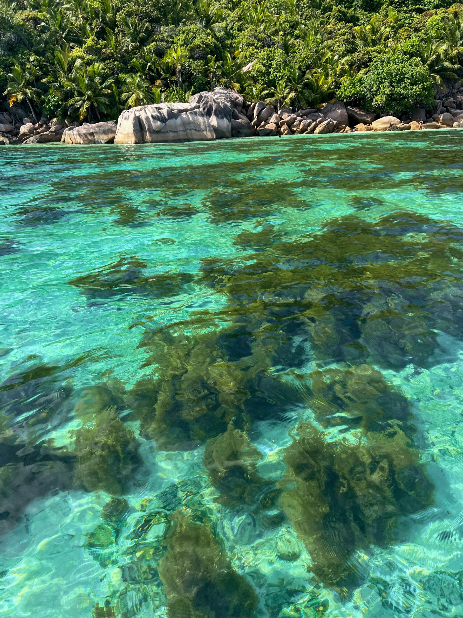Schnorcheln bei Île St. Pierre, Praslin