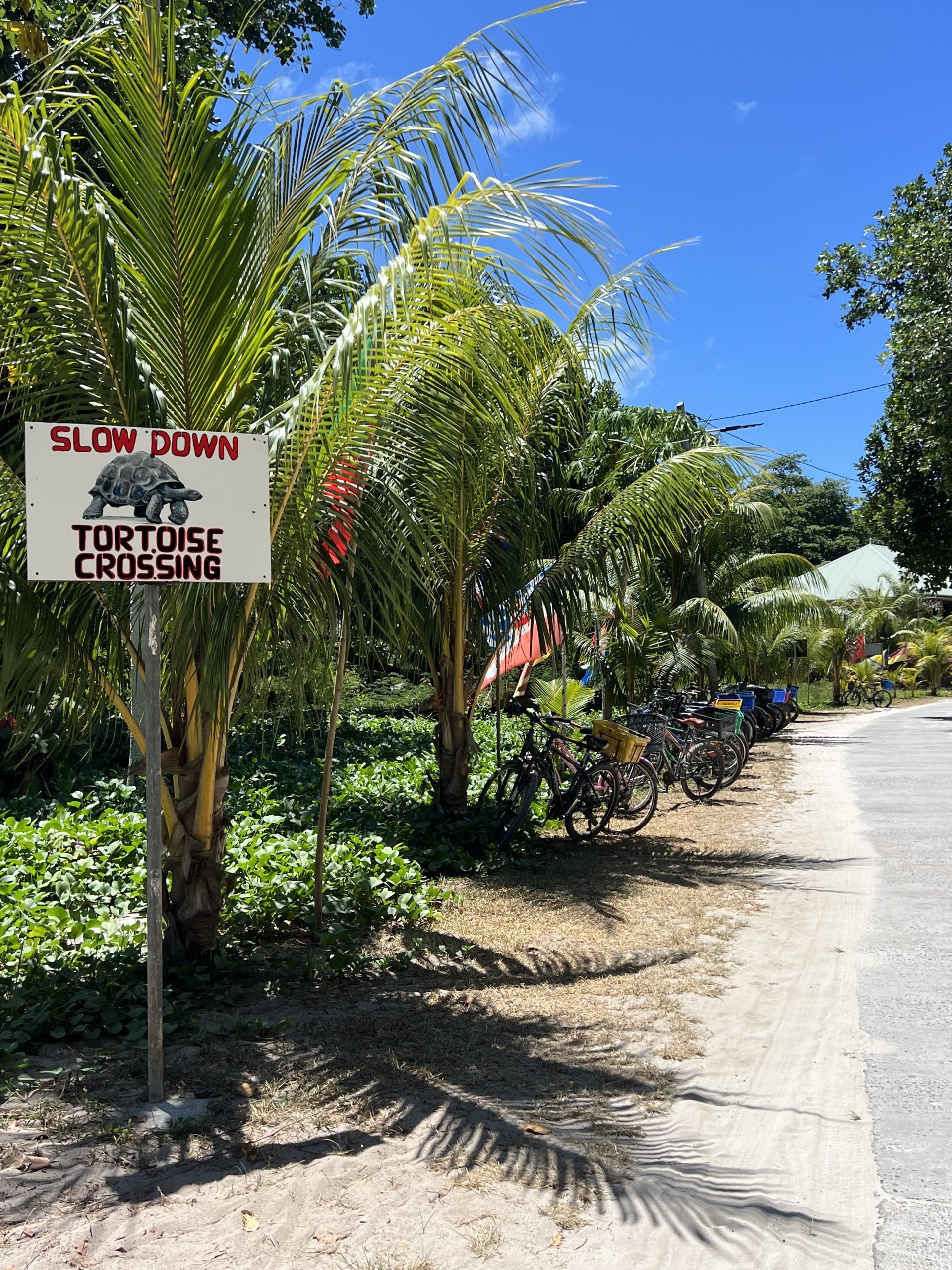 Fahrradfahren, La Digue