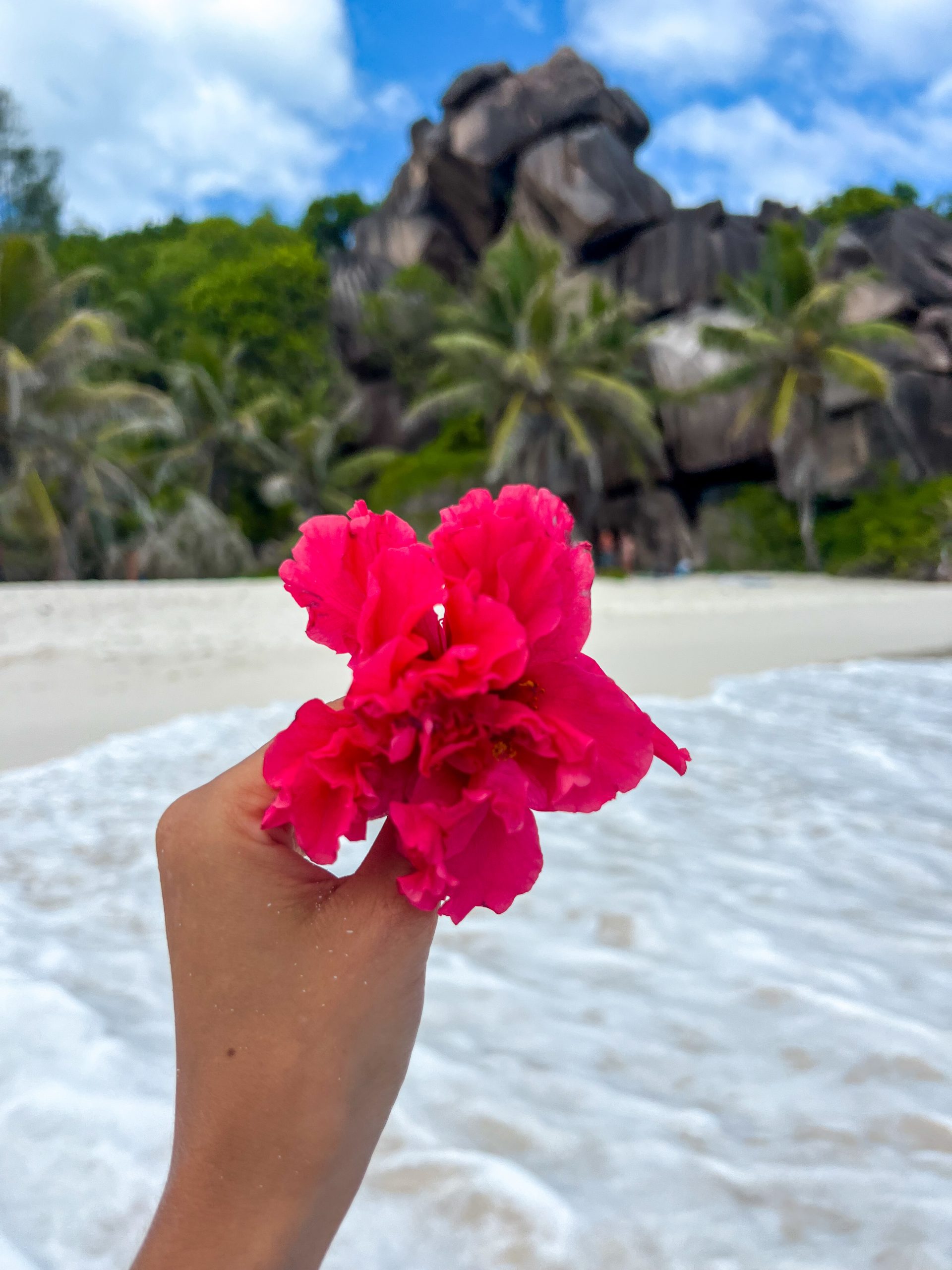 Grand Anse Beach, La Digue