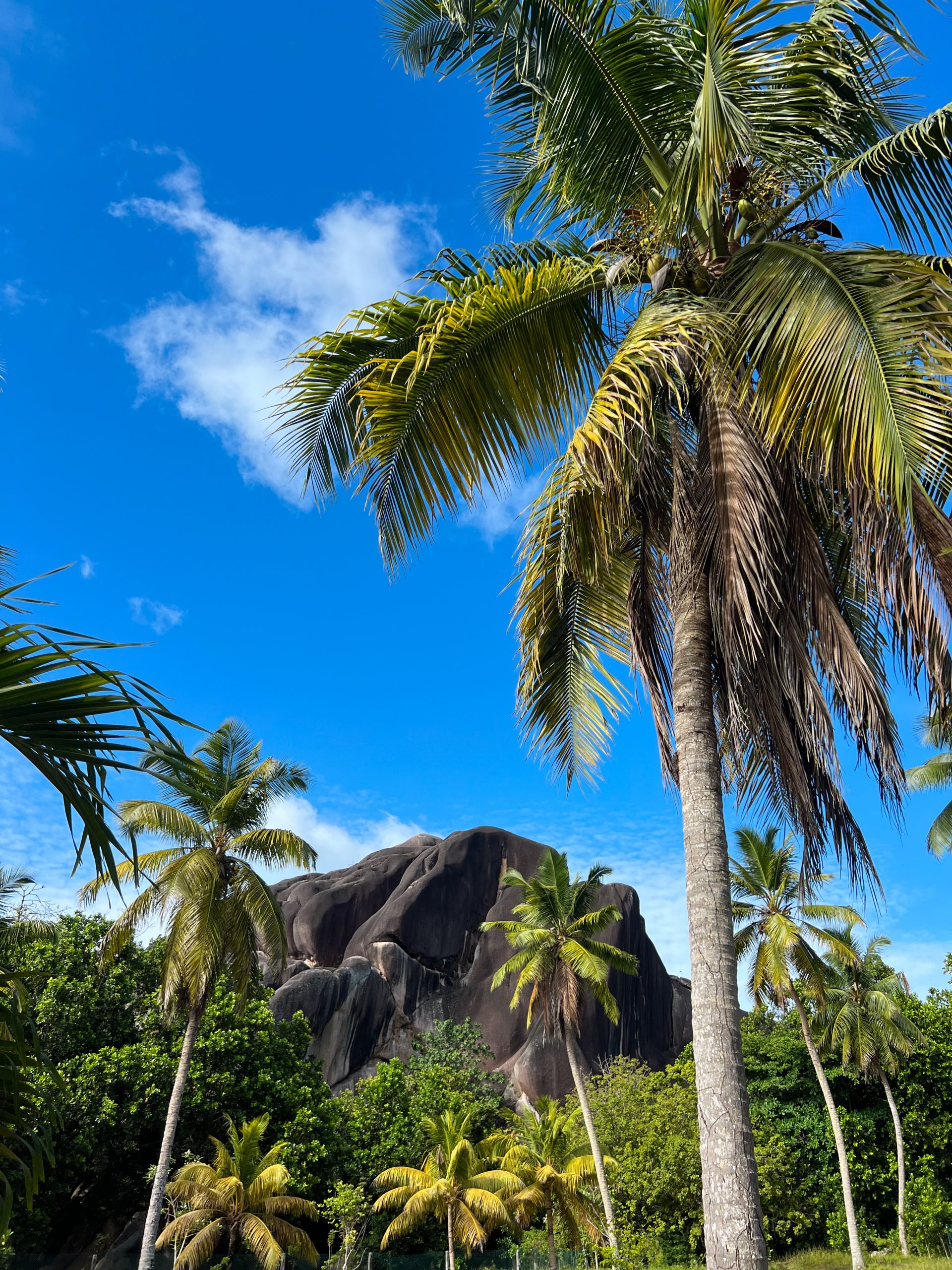 L'Union Estate Park, La Digue