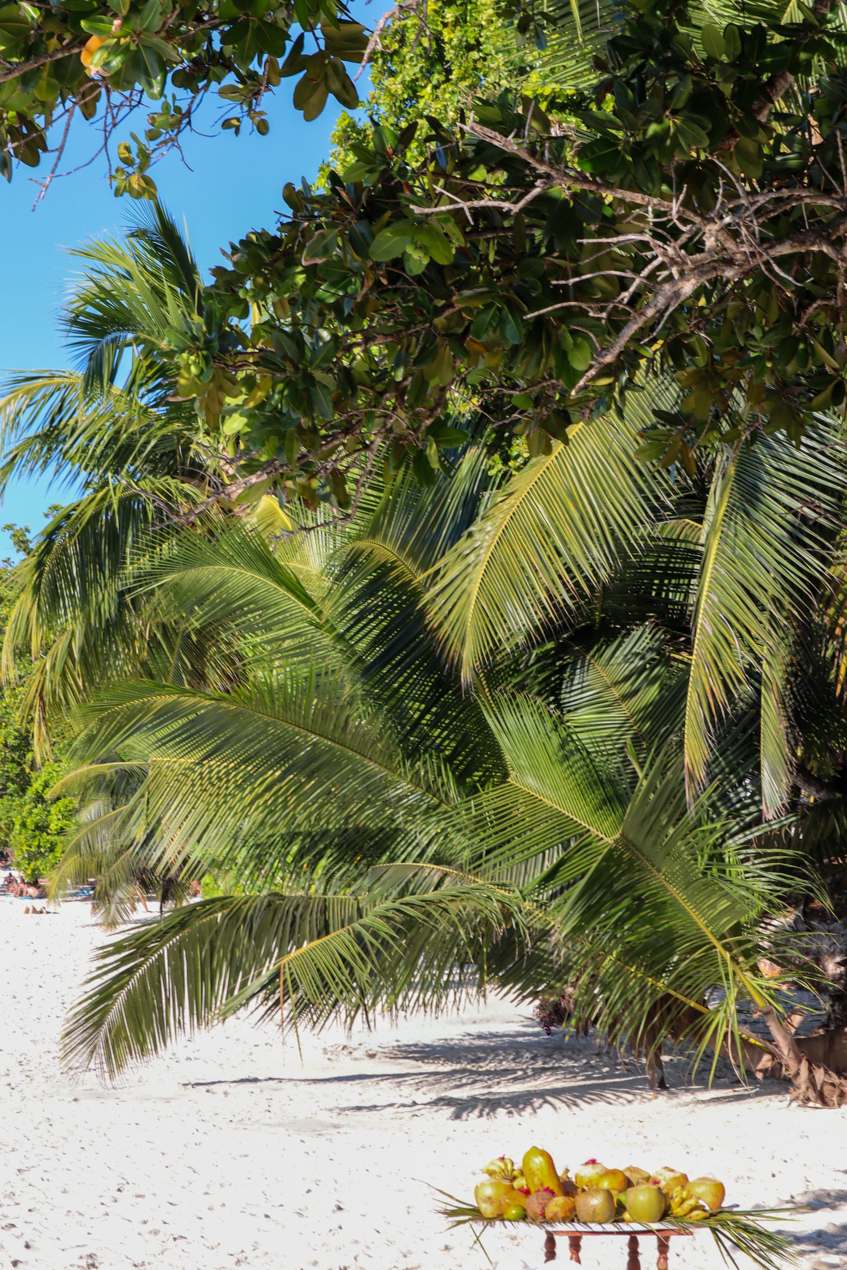 Anse Lazio, Praslin
