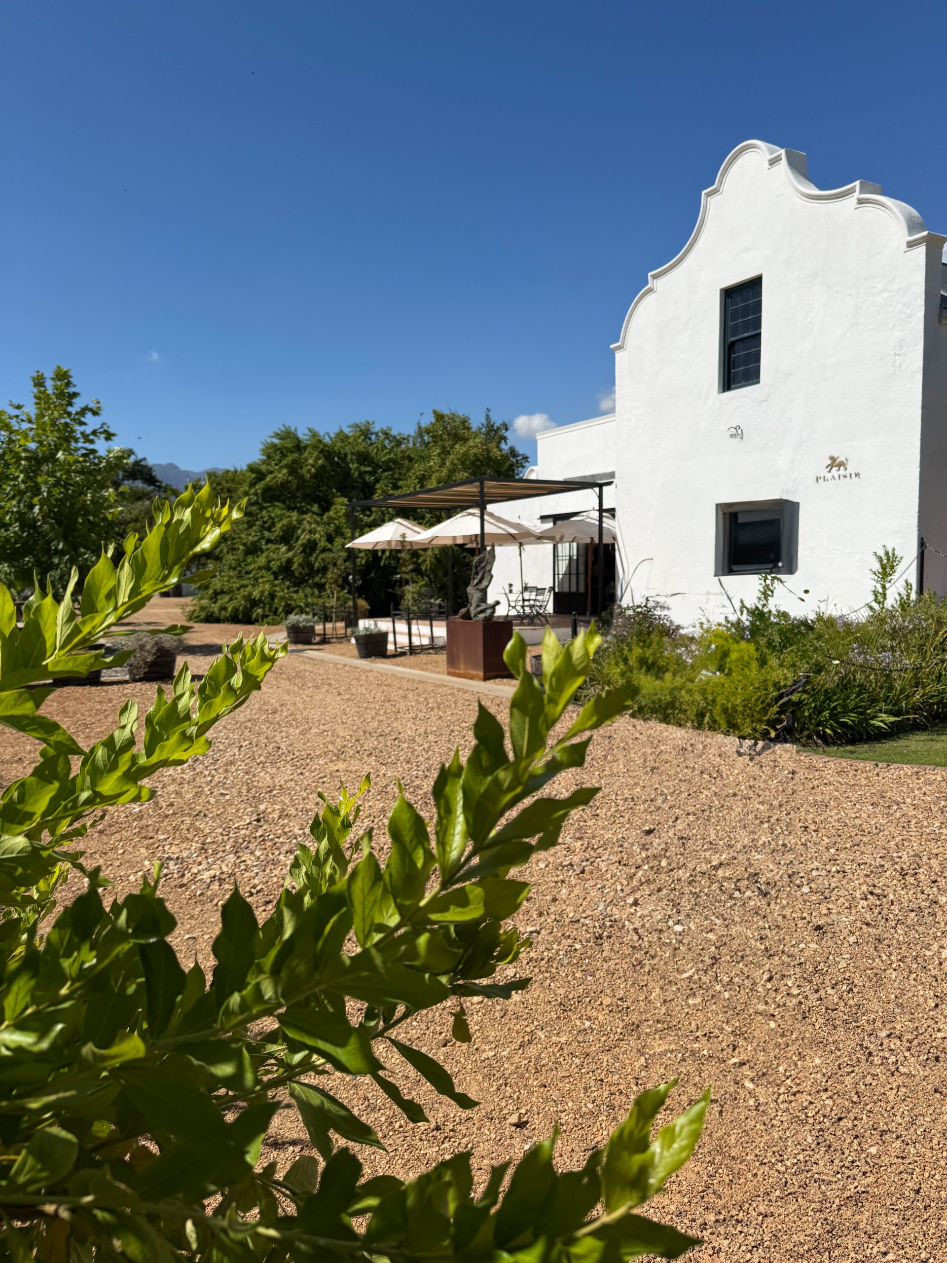Franschhoek Wine Tram Hop on Hop off