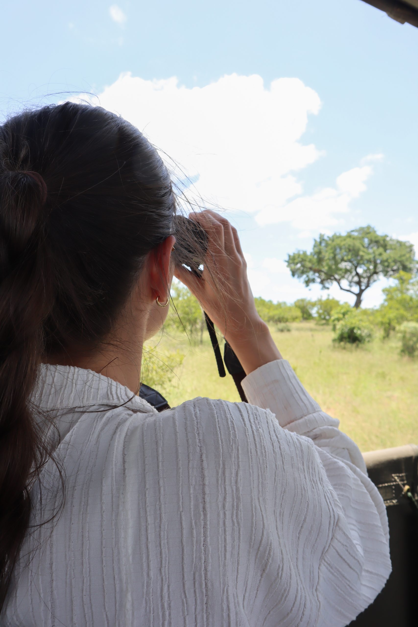 Safari im Krüger-Nationalpark
