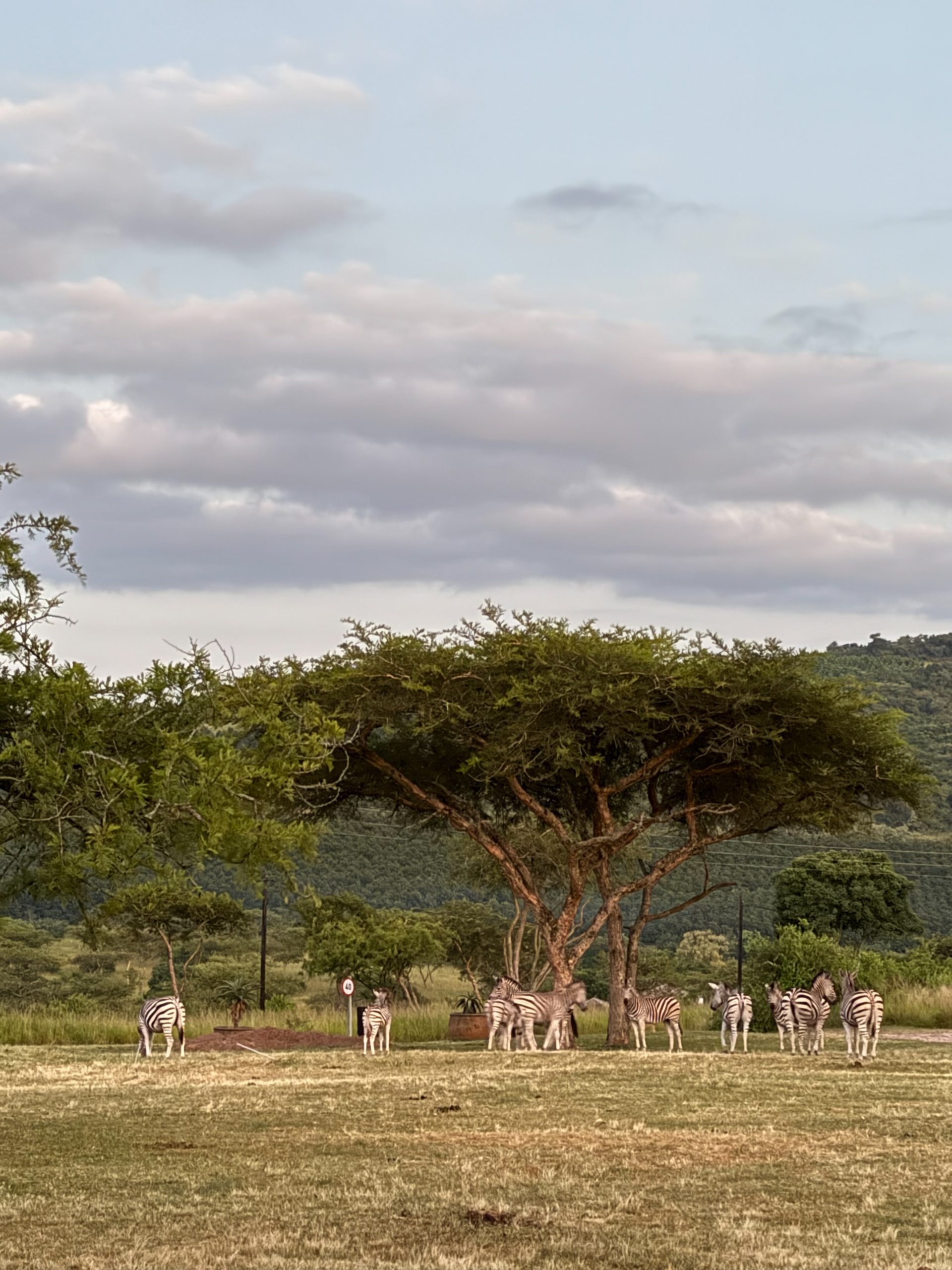 Muluwa Lodge, Krüger-Nationalpark