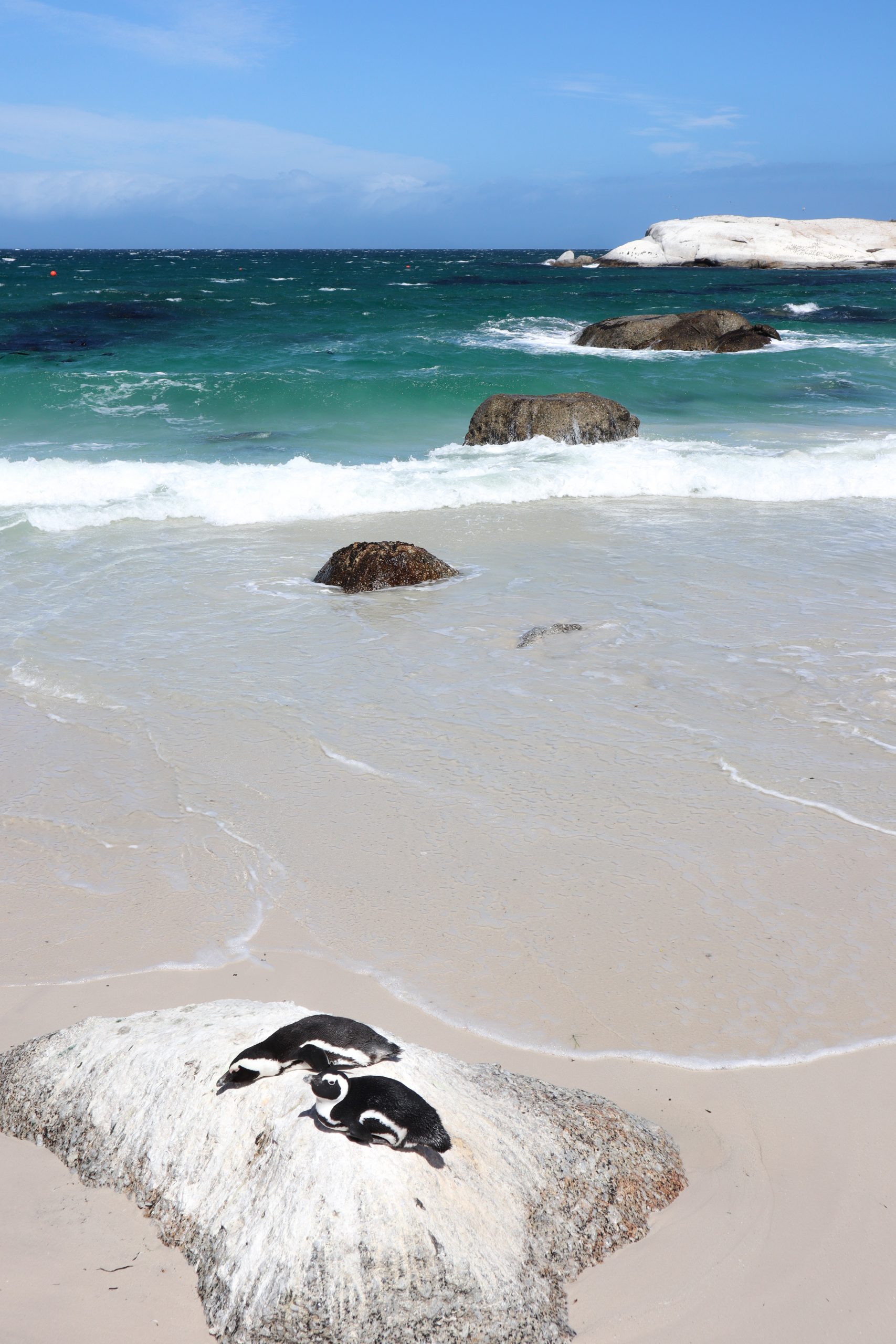 Boulders Beach, Kapstadt