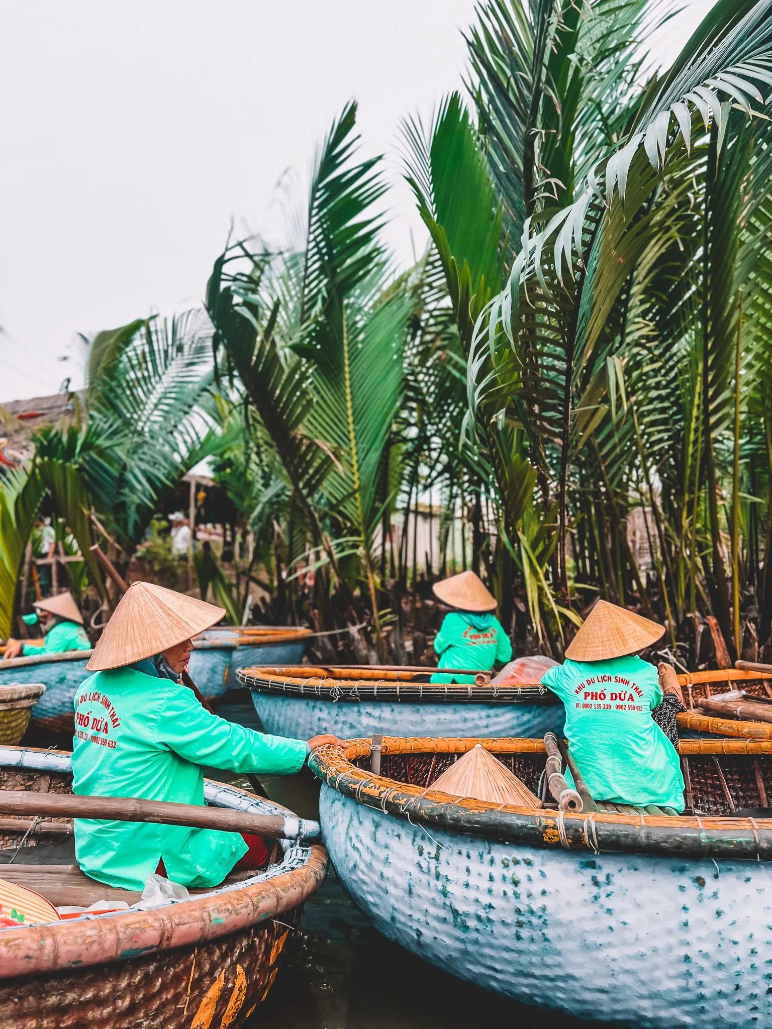 Korbboot-Fahrer in Hoi An mit Nón-lá-Hüten und türkisen Uniformen im Kokospalmen-Wald, Vietnam