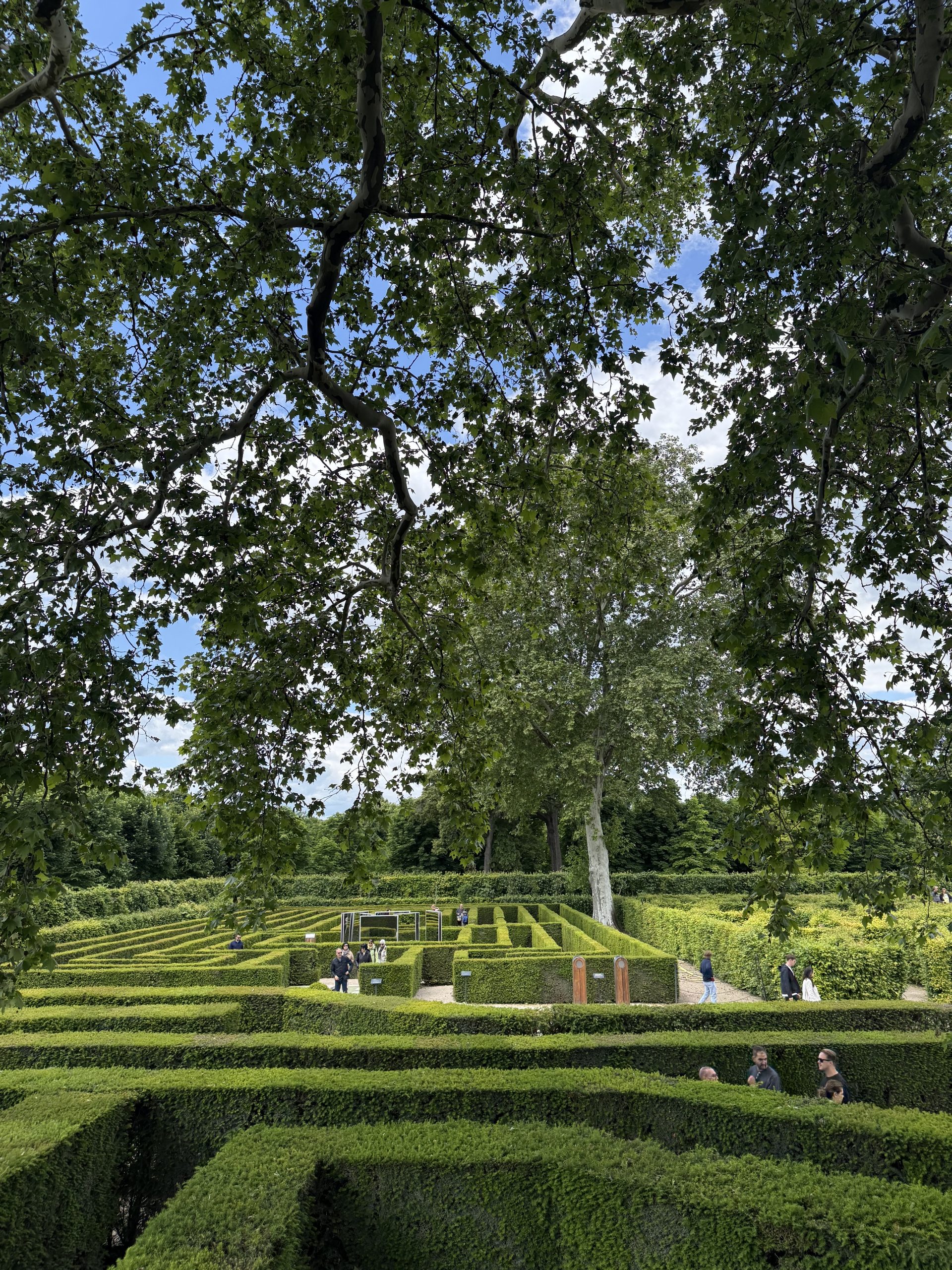 Irrgarten, Schloss Schönbrunn, Wien