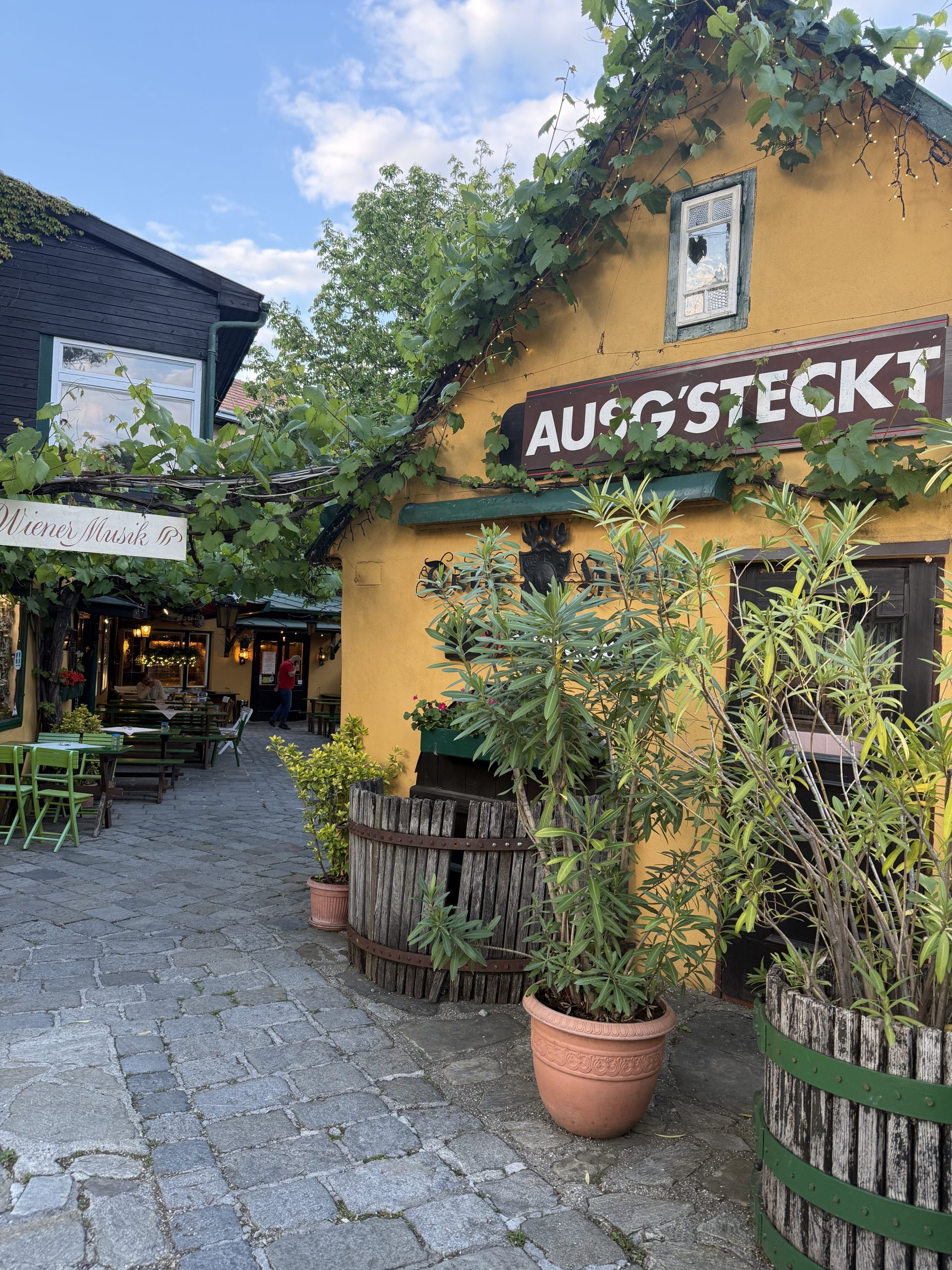 Weingut-Heuriger Alter Bach-Hengl, Wien