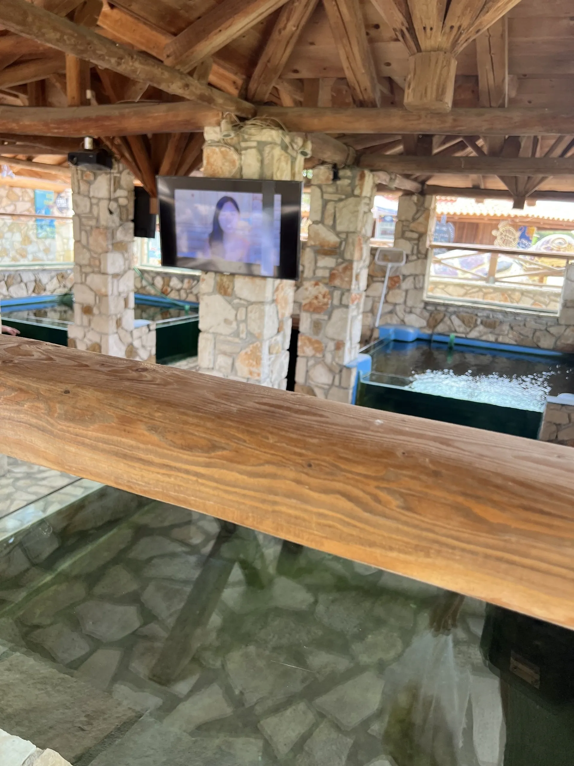 Turtle Rescue Center, Zakynthos