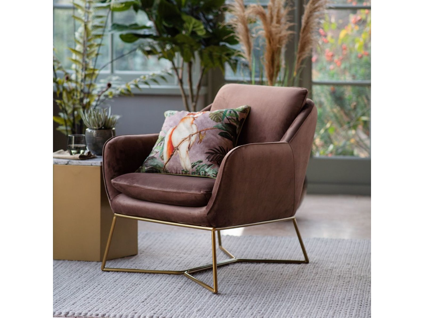 Ahmedabad Velvet Chair for Living Rooms – Architect Inspired Design by Furnhands — view 1