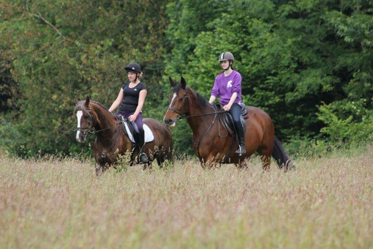 people riding in field