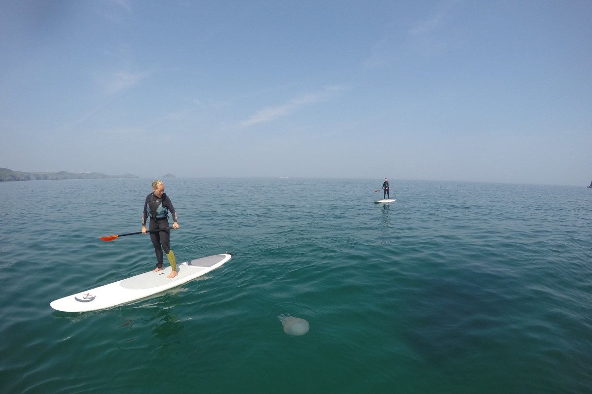 Book now SUP with Cornish Coast Adventures 