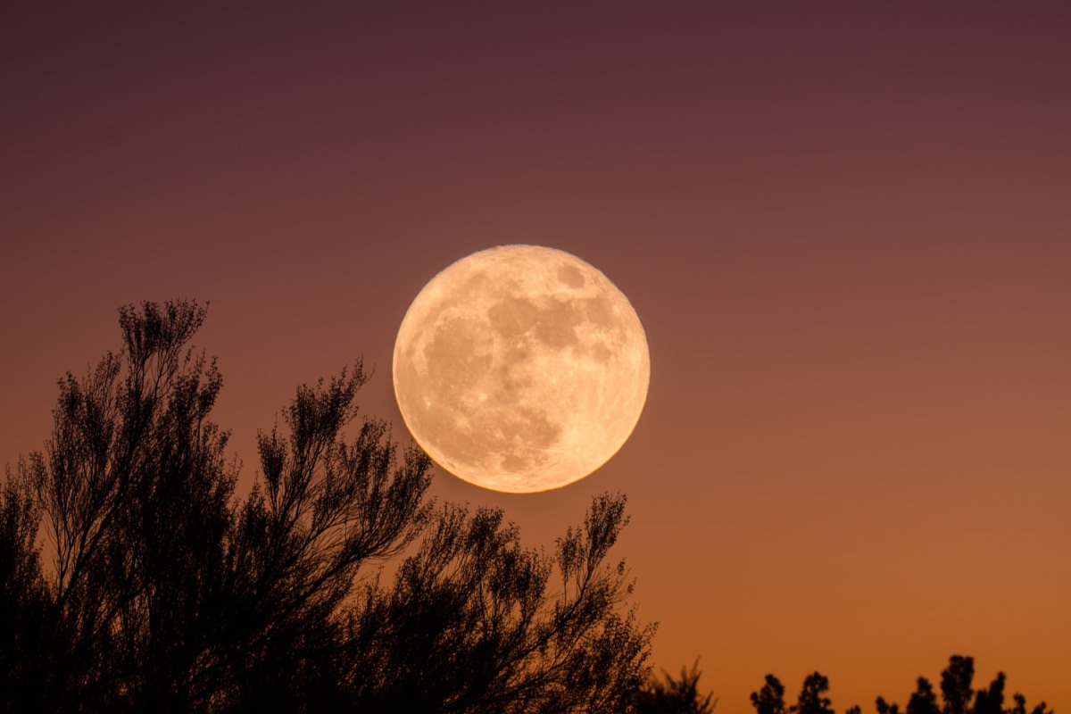 Halloween moon and orange sky 