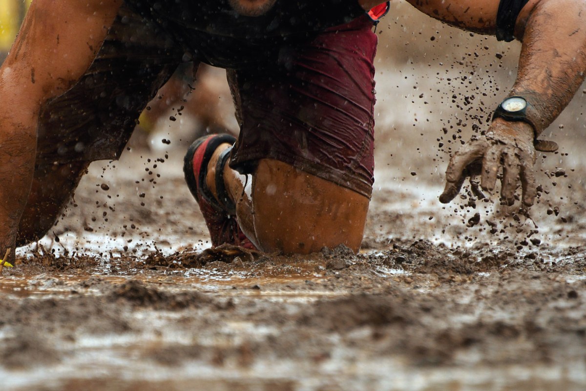 adventures wales assault course