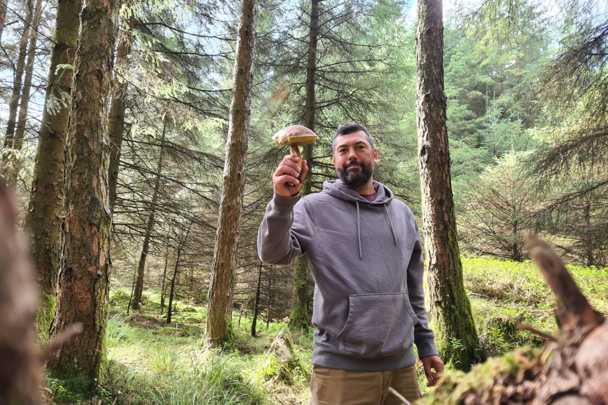 lake district foraging