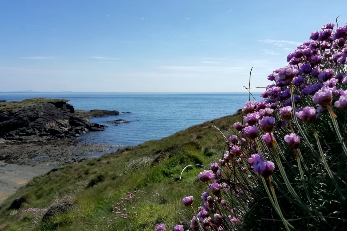 Book swimming with Anglesey Outdoors