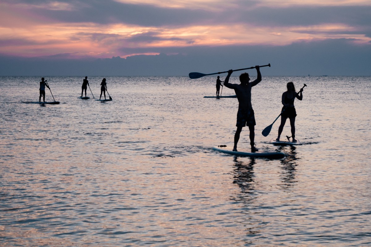 group of people paddling at sunset