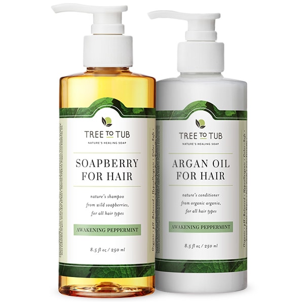 Dercos Anti Dandruff Shampoo For Greasy Hair