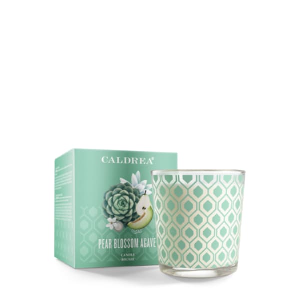 What Are Natural Fragrances? The 8 Best Products to Scent Your Home