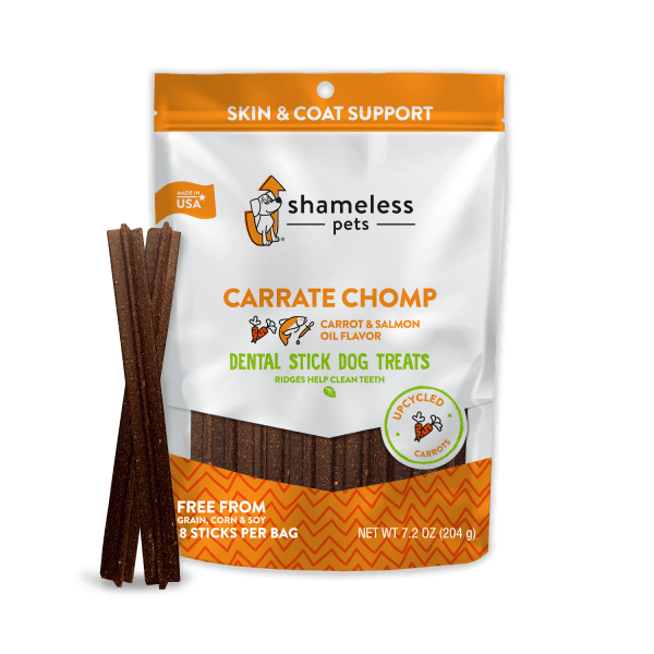 How to Get Urine Out of Carpet, Mattresses, and More