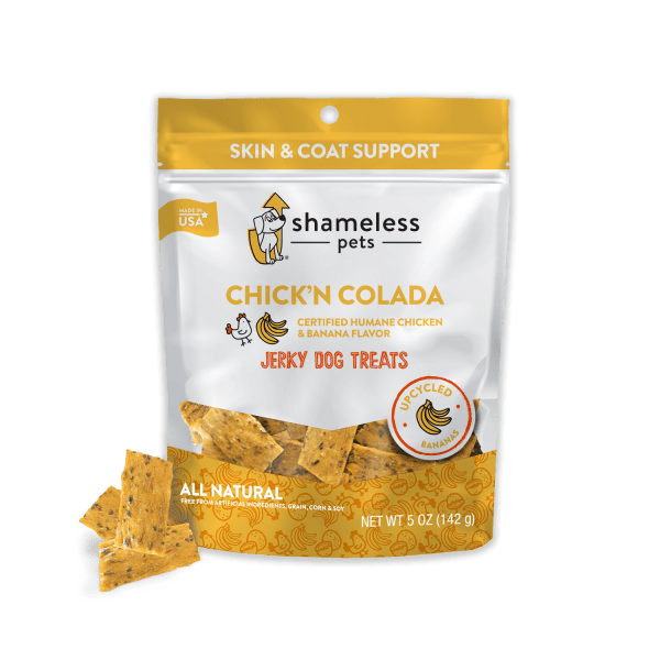 How to Wash and Disinfect Dog Toys